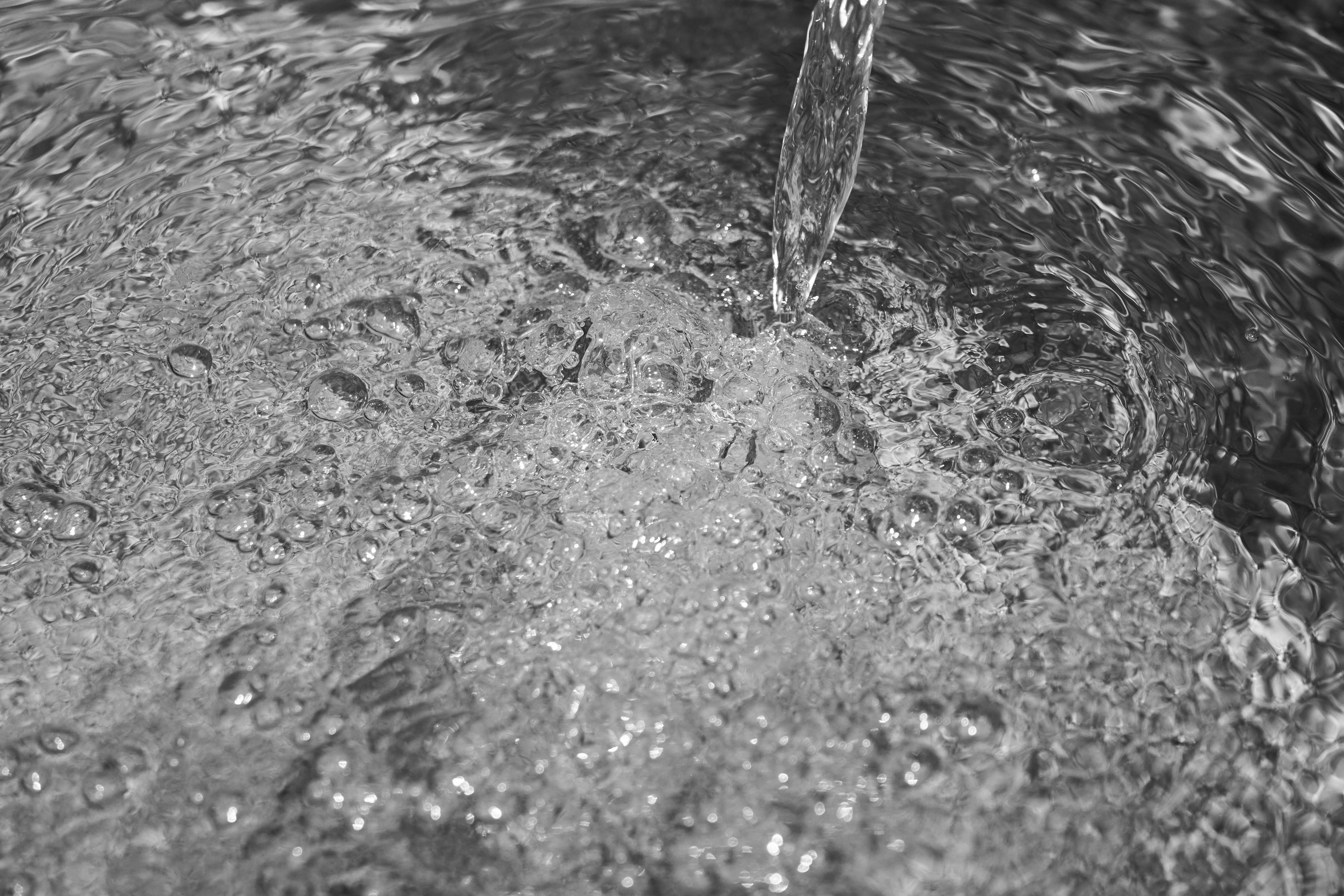 FLUID: Inferencia Unificada basada en Flujo para Dinámicas