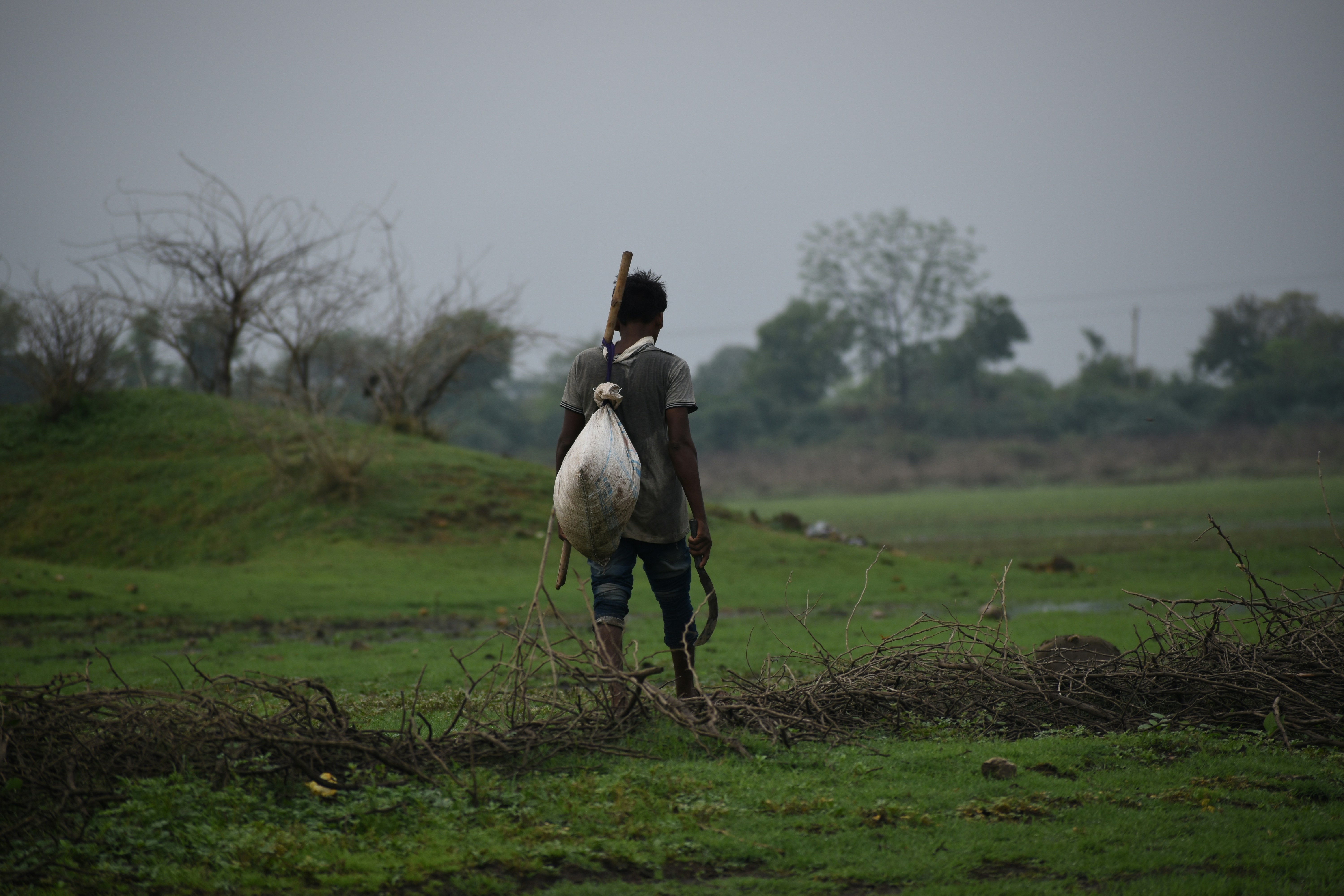 Por qué se está entrenando la Inteligencia Artificial en la India rural