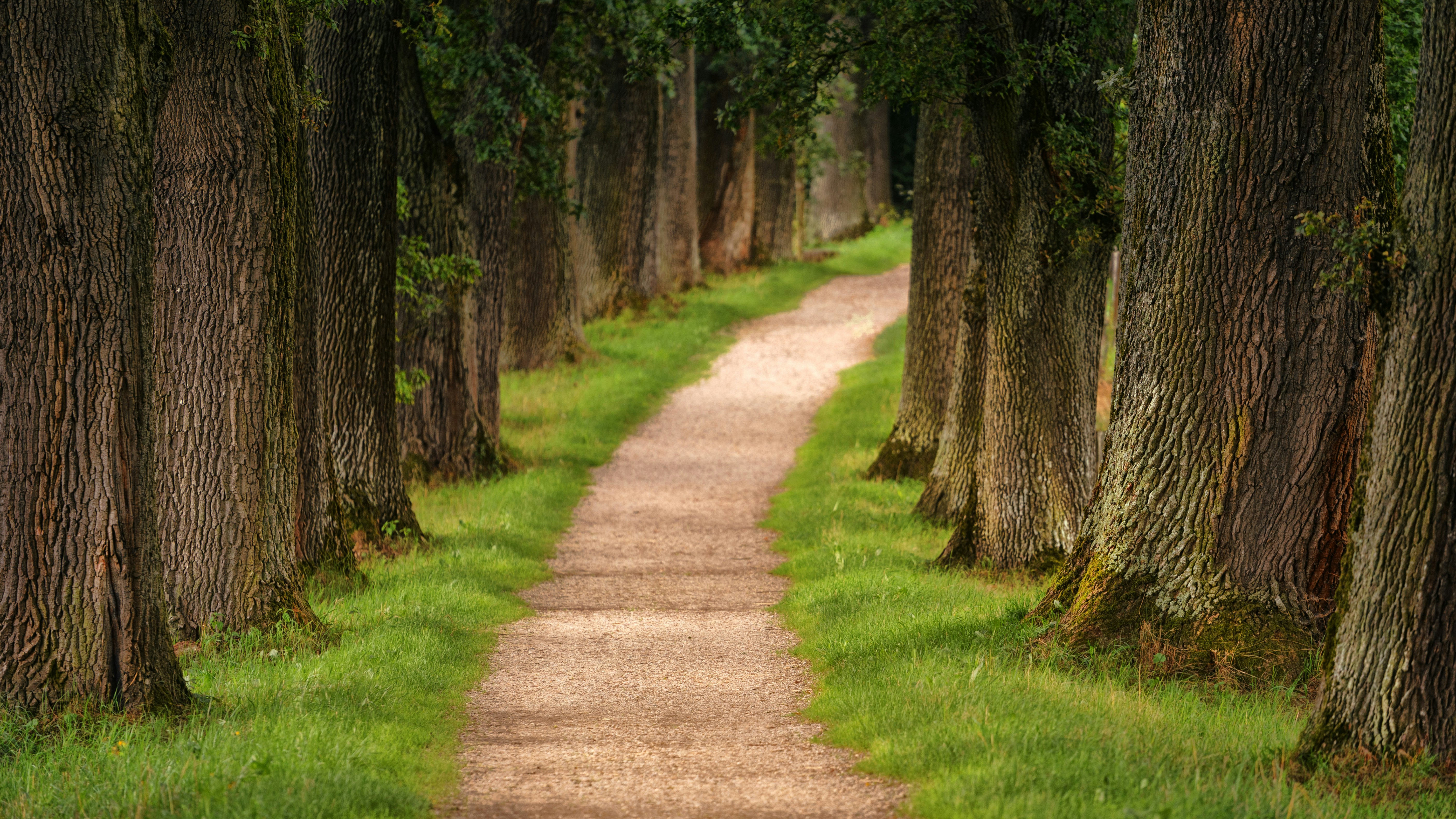 Formalizando y falsificando caminos causales de eventos raros