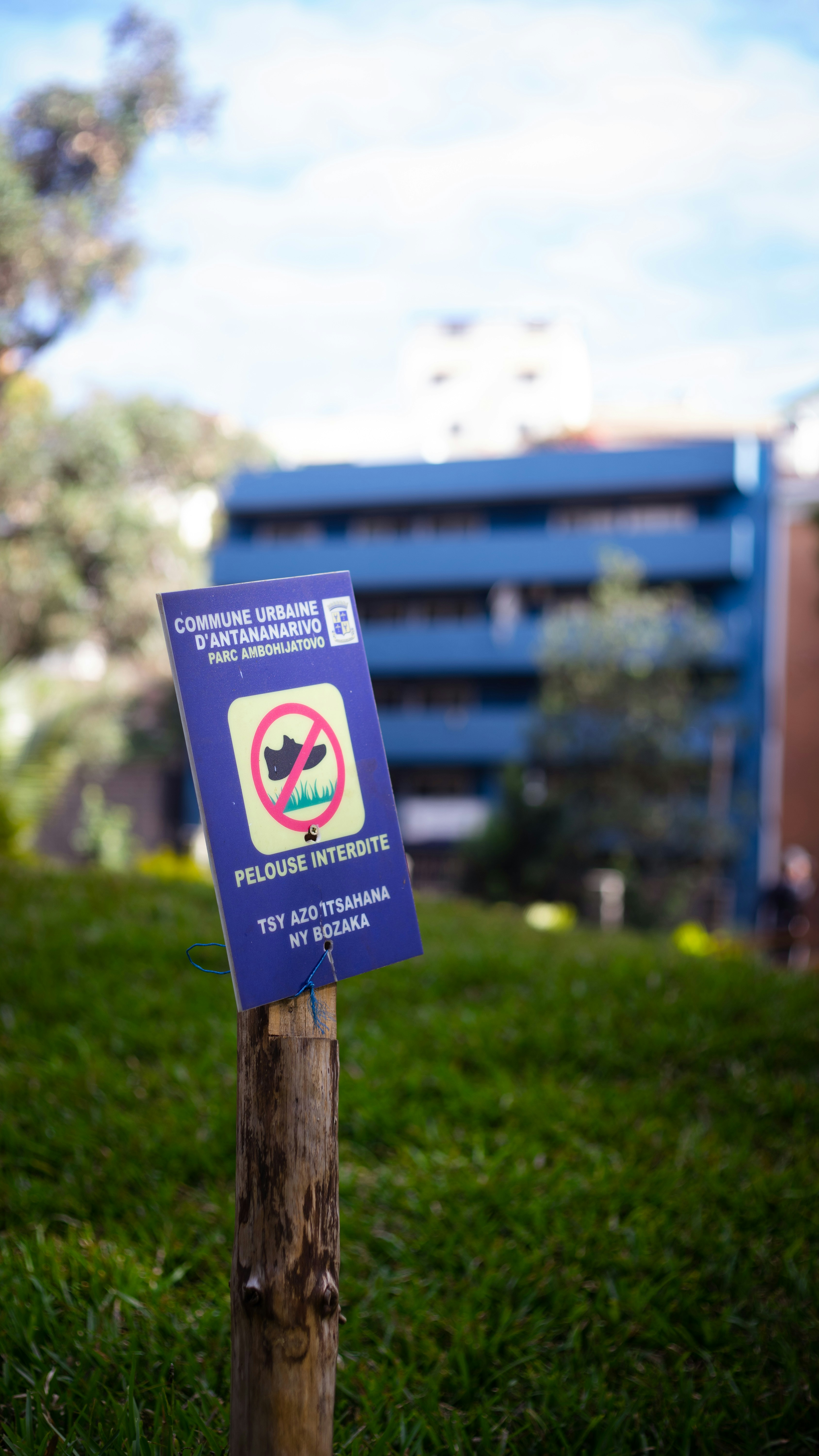 Vulnerabilidad de lectura fuera de los límites en Ollama permite fuga de memoria de proceso remoto