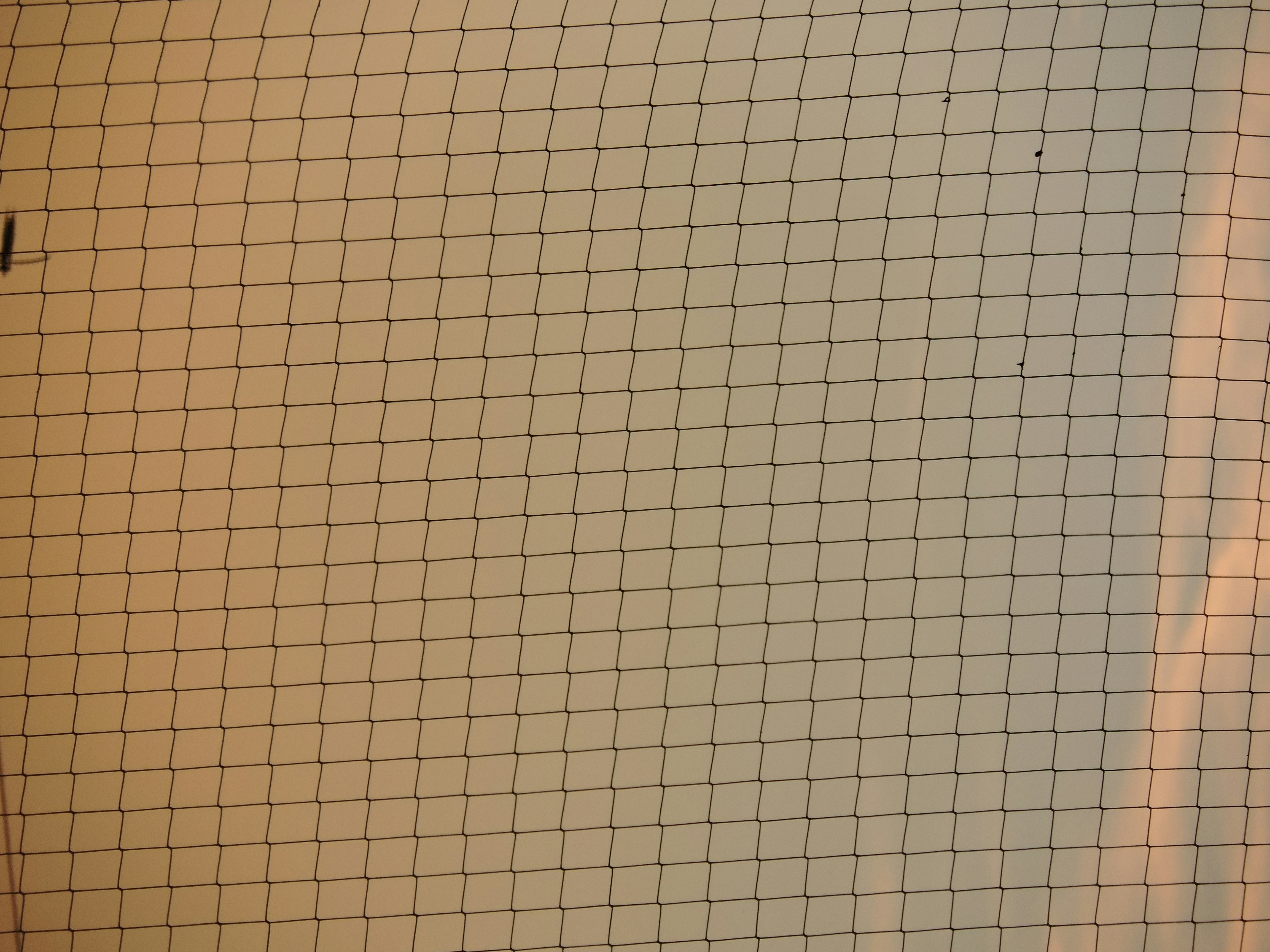 Nunca he sido bueno con las hojas de cálculo, pero Gemini está cambiando eso