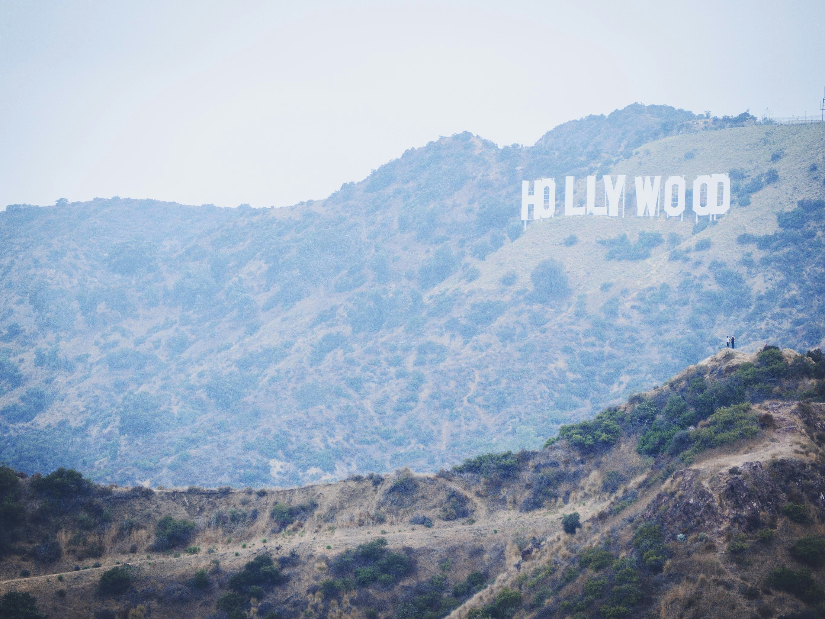 Emprendedor genio hollywoodiense que otorga las deseos más exclusivos del mundo