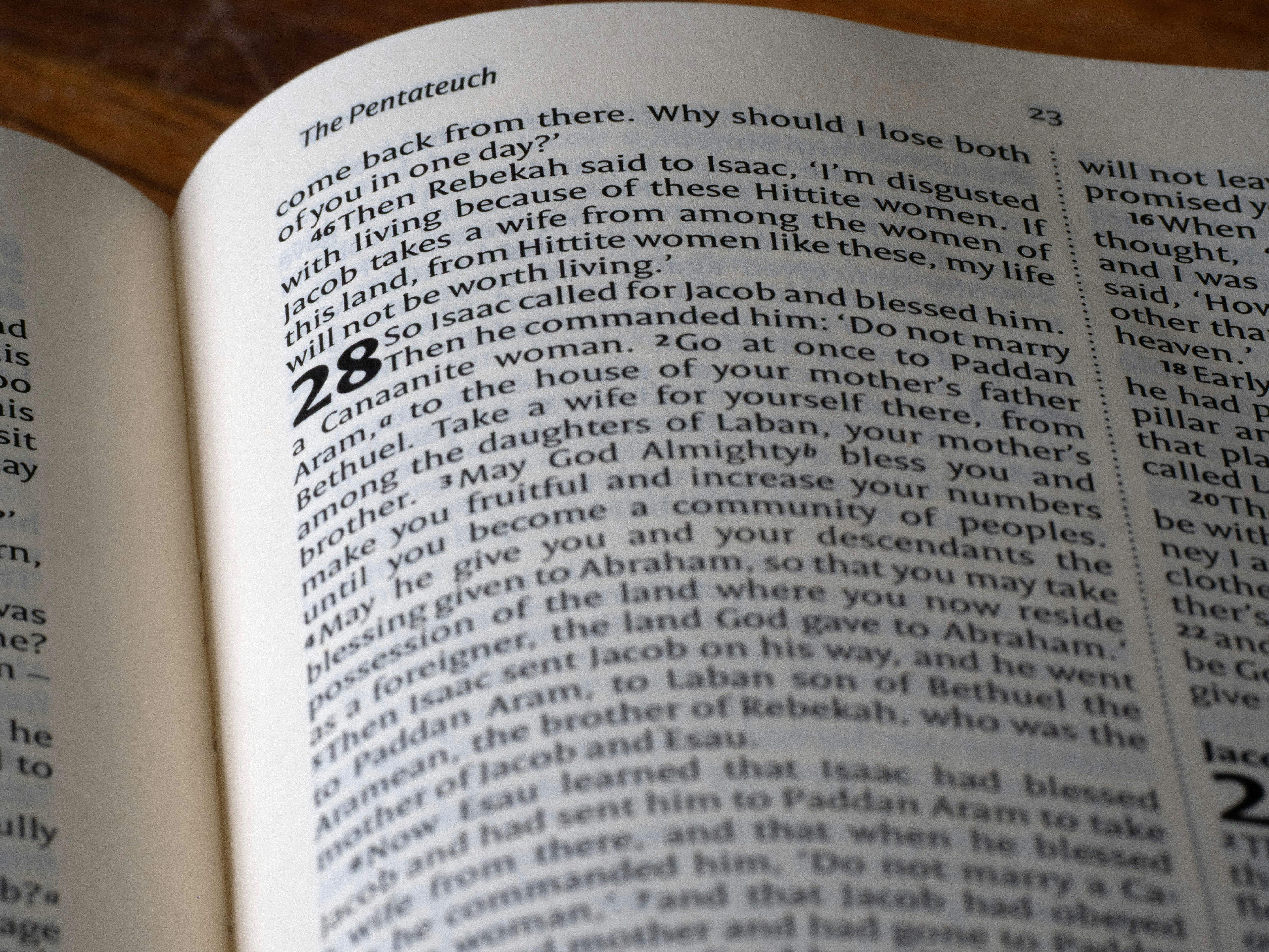 Los Recursos Comunes Alemanes - 154 mil millones de tokens de texto con licencia abierta para modelos de lenguaje alemán