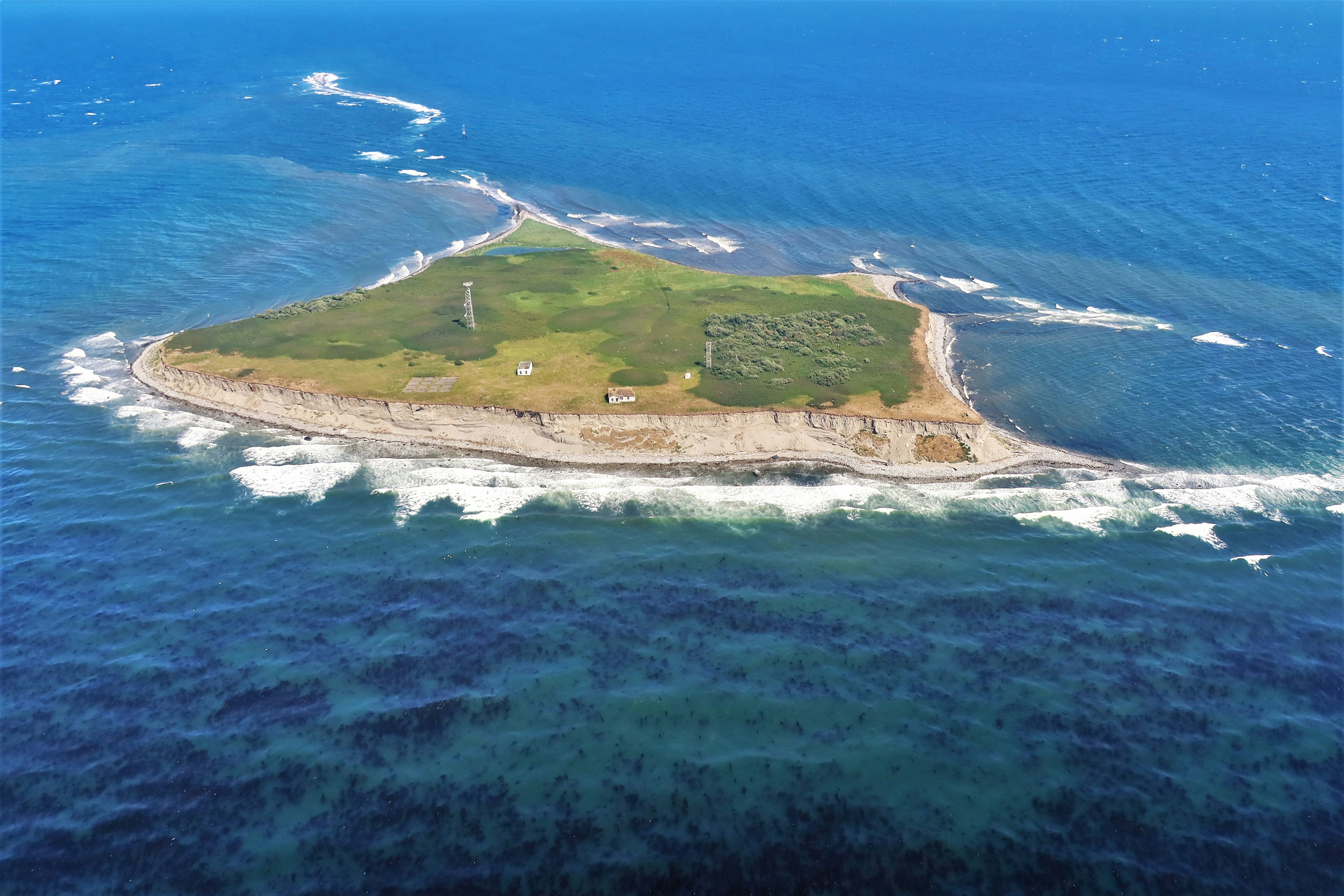 Google planea puesto militar secreto de IA en isla minúscula invadida por cangrejos