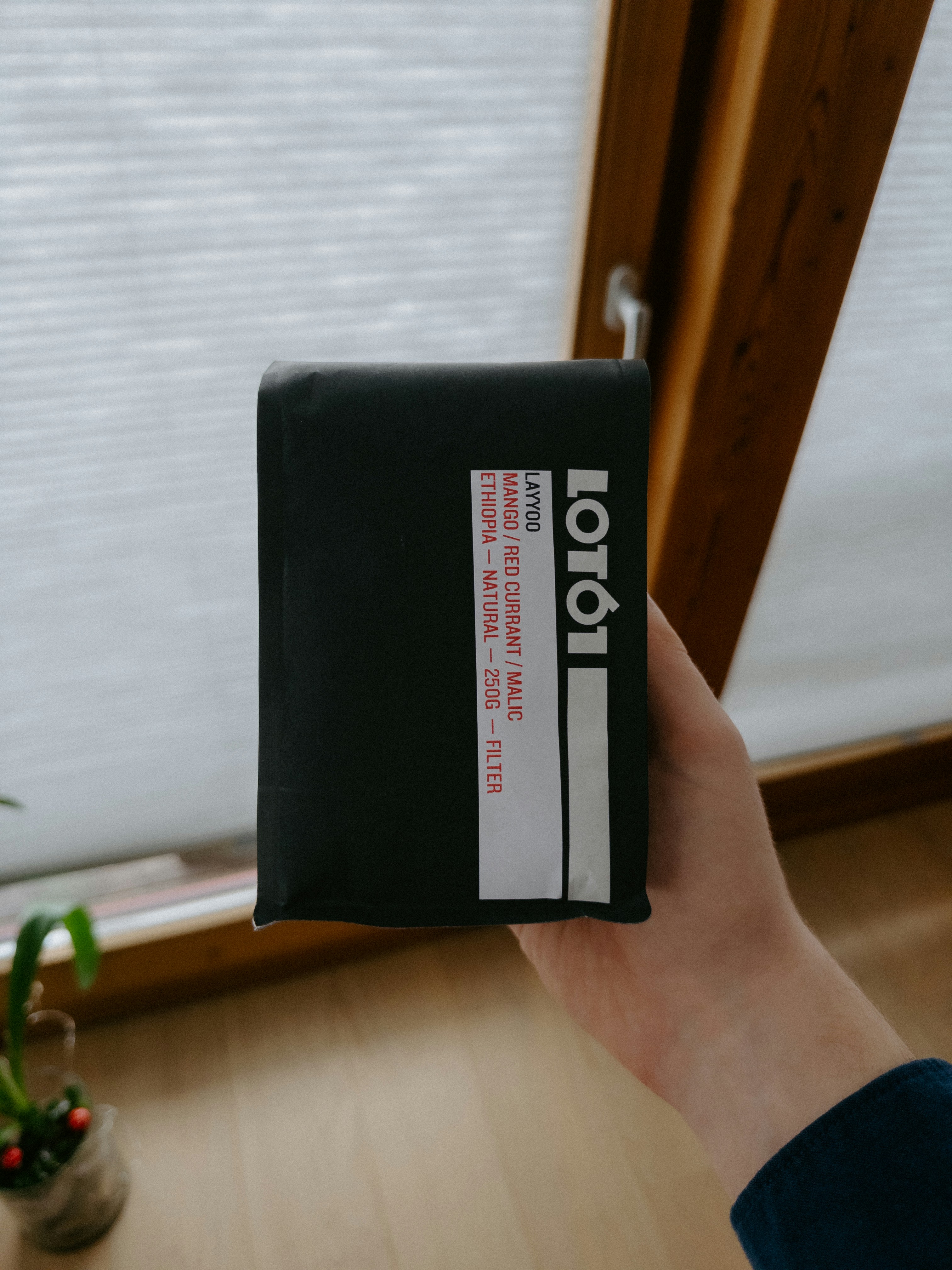 Guía del usuario para el conector de Odoo Klaviyo