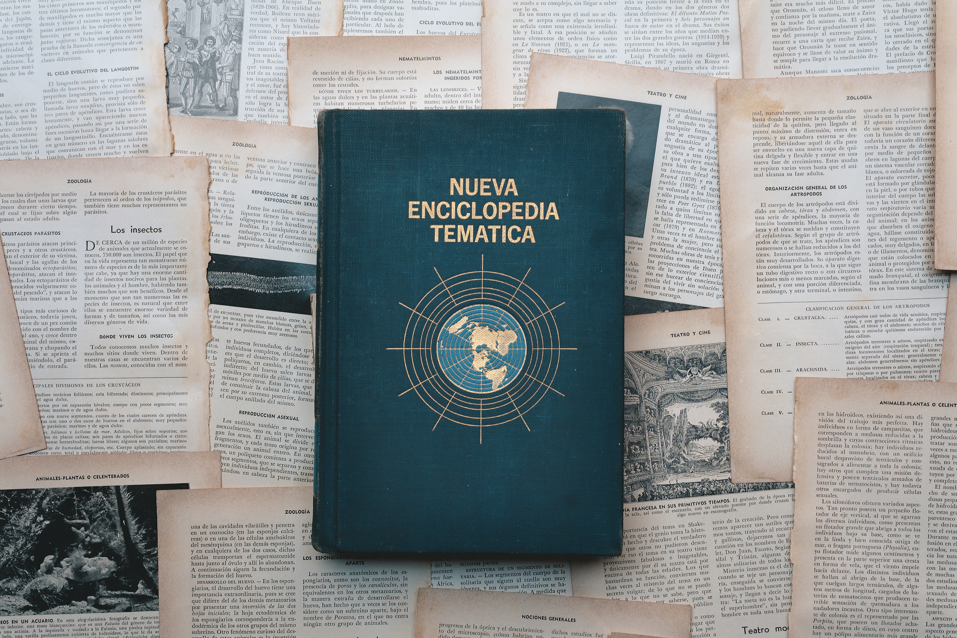 La guía definitiva para encontrar una AGENCIA DE IA en Navalmoral de la Mata