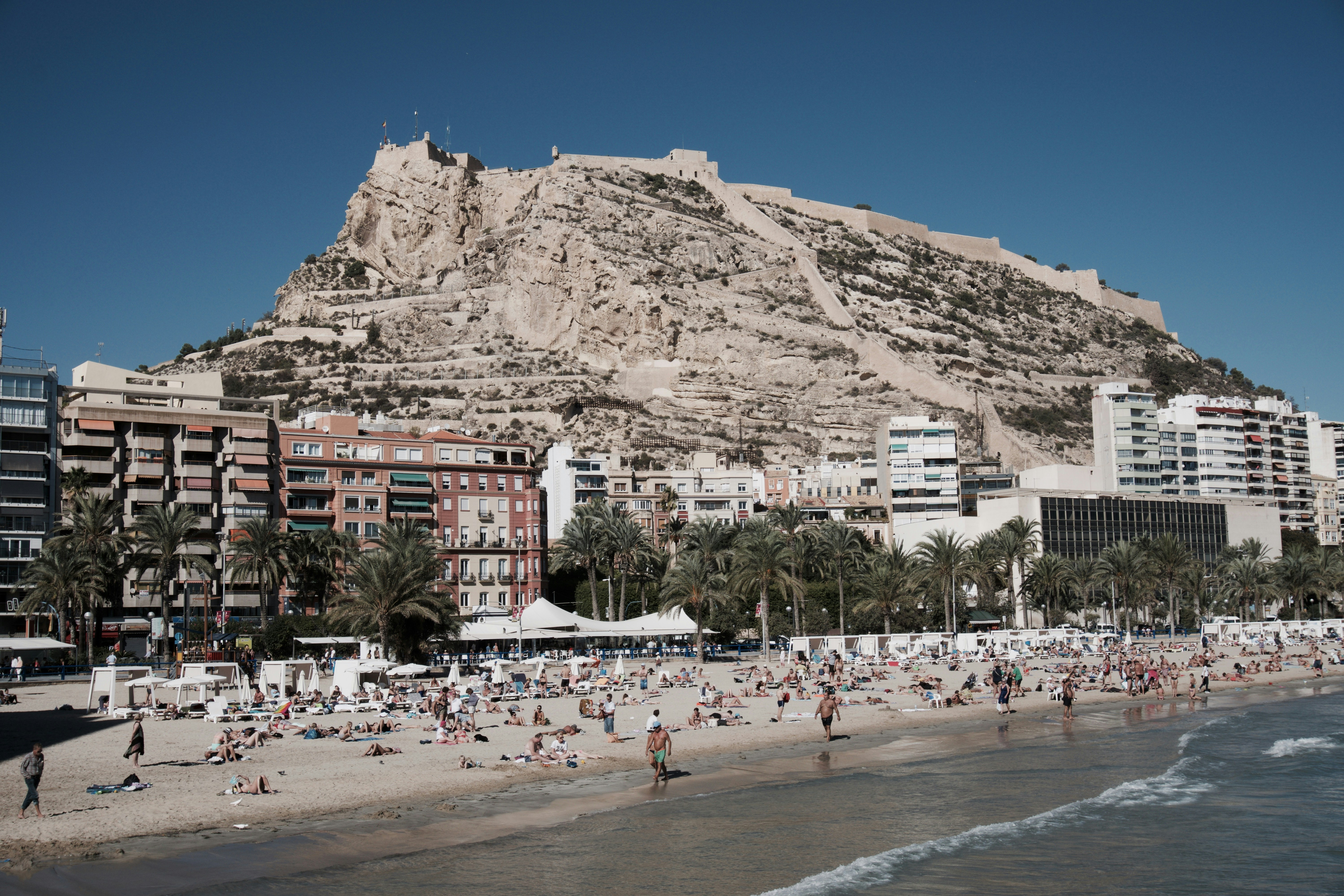 La guía definitiva para encontrar y contratar un equipo impulsado por IA en Alicante