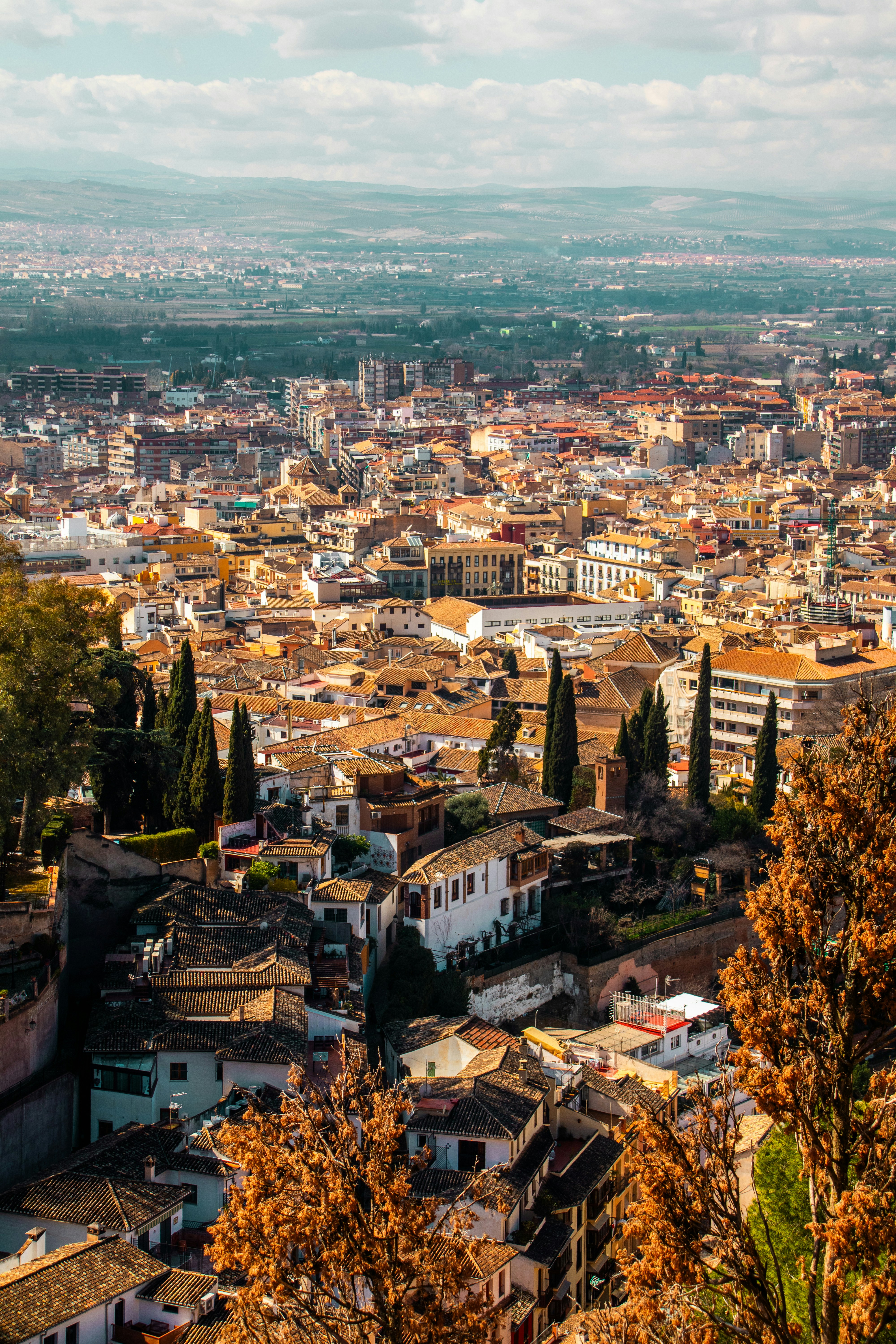 La Guía Definitiva para Encontrar Inteligencia de Negocios en Granada