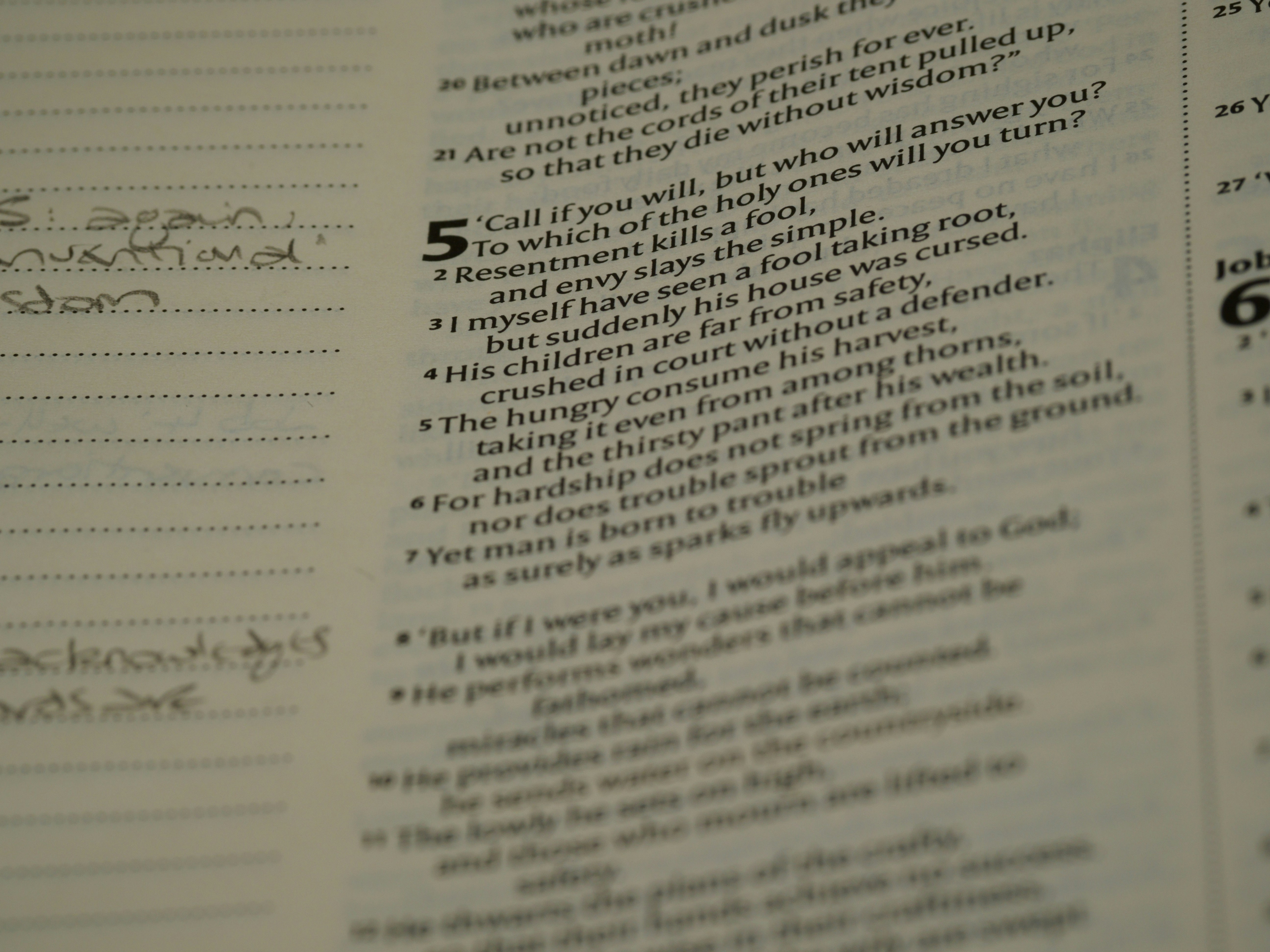 Guía de Sonatype lleva DevSecOps a la codificación de IA