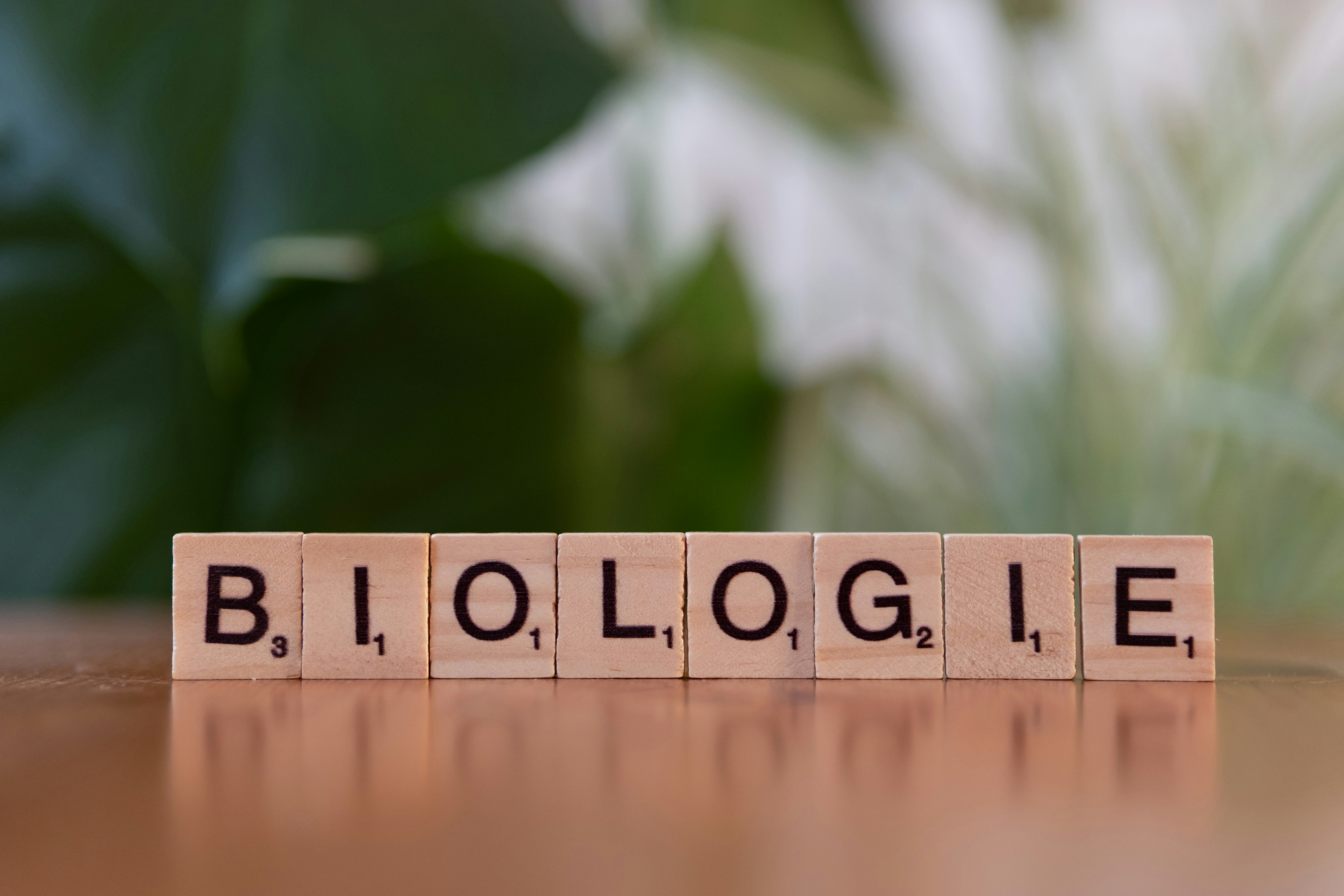 Todo sobre Bioquímica: qué es, qué estudia y para qué sirve