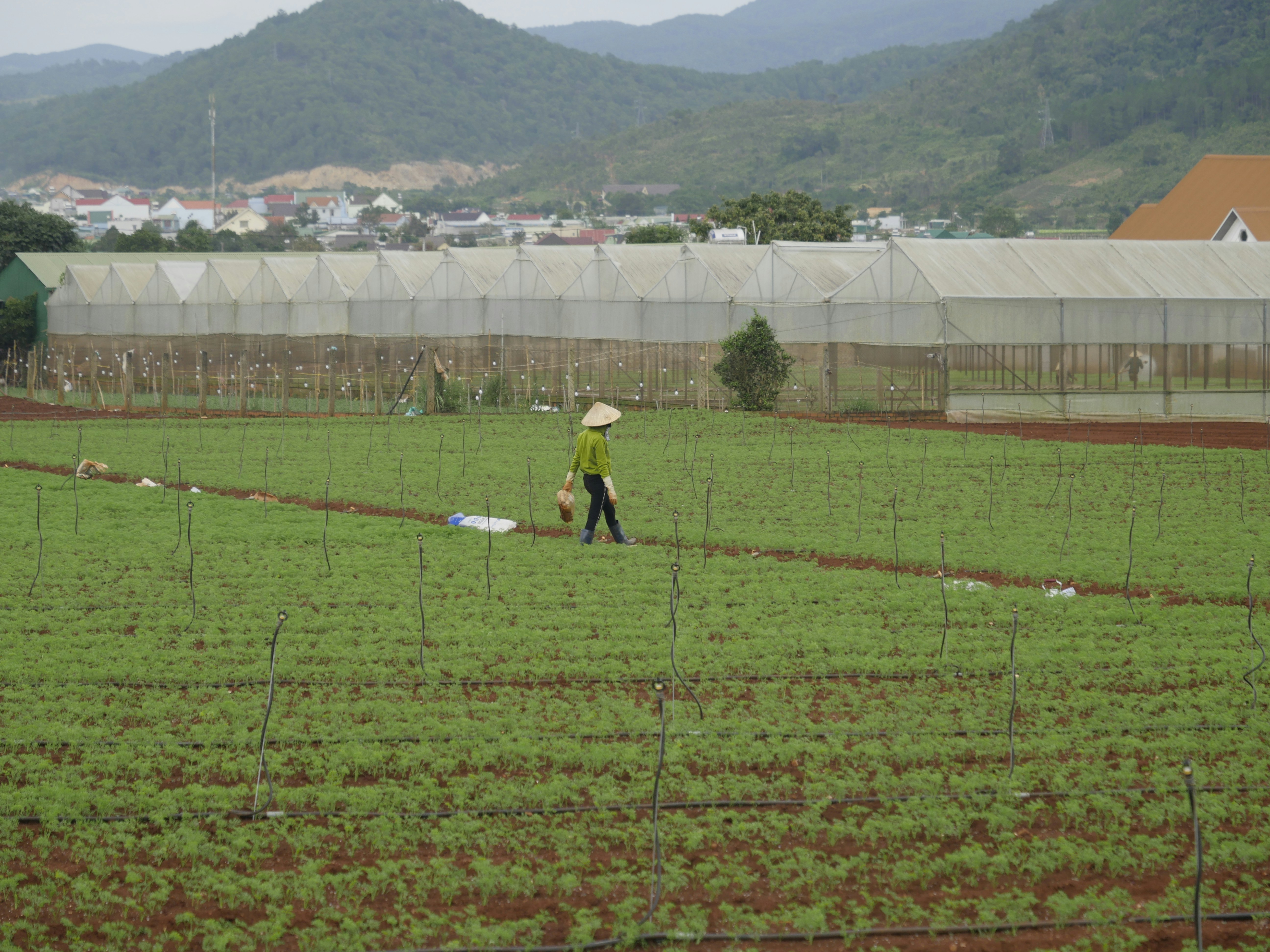 ¿Es la productividad impulsada por IA una trampa de vigilancia? Los costos invisibles del hipermonitoreo en 2026