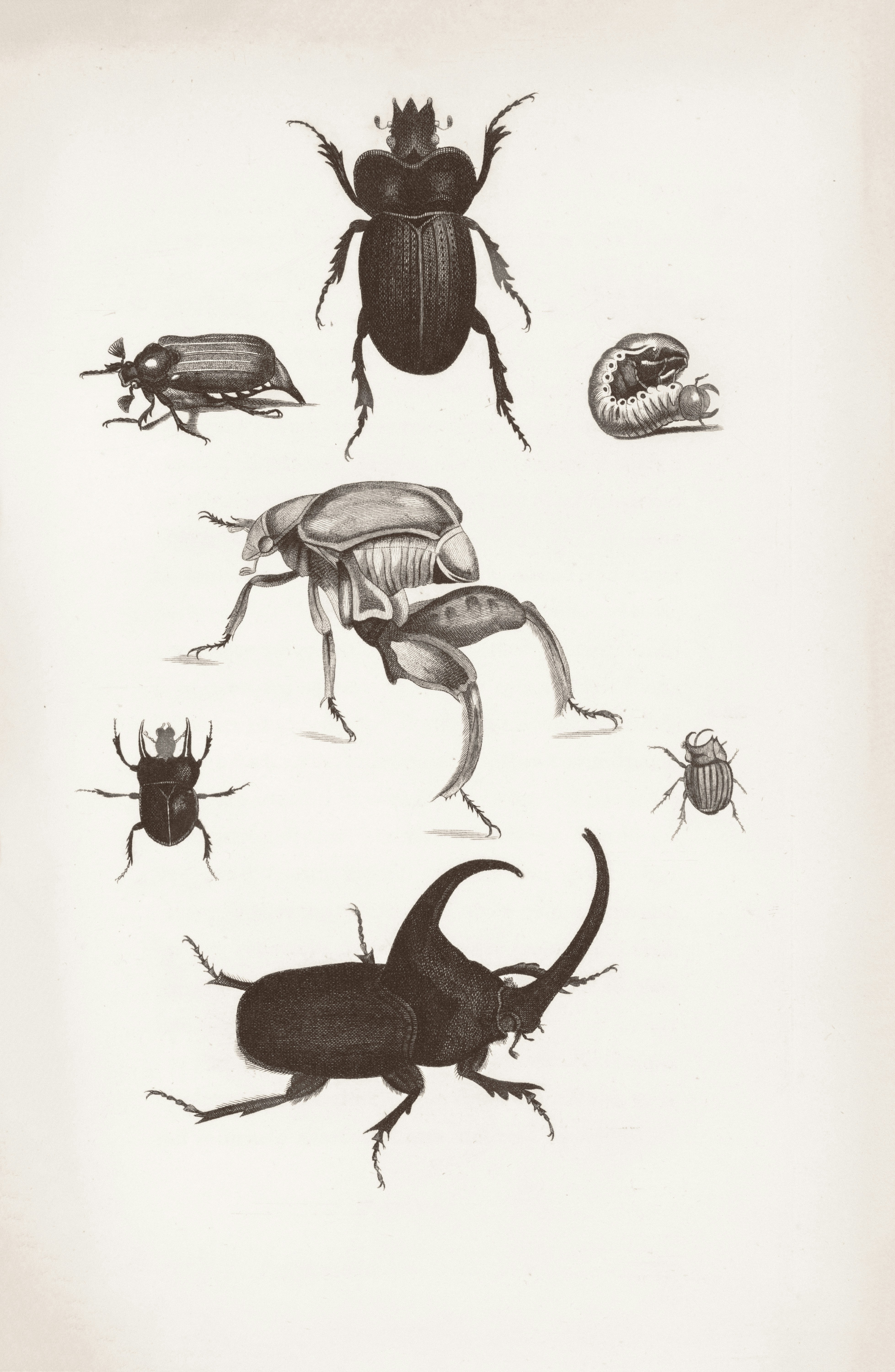 Historia del Bug: Unos cuantos relatos aleatorios en la IT