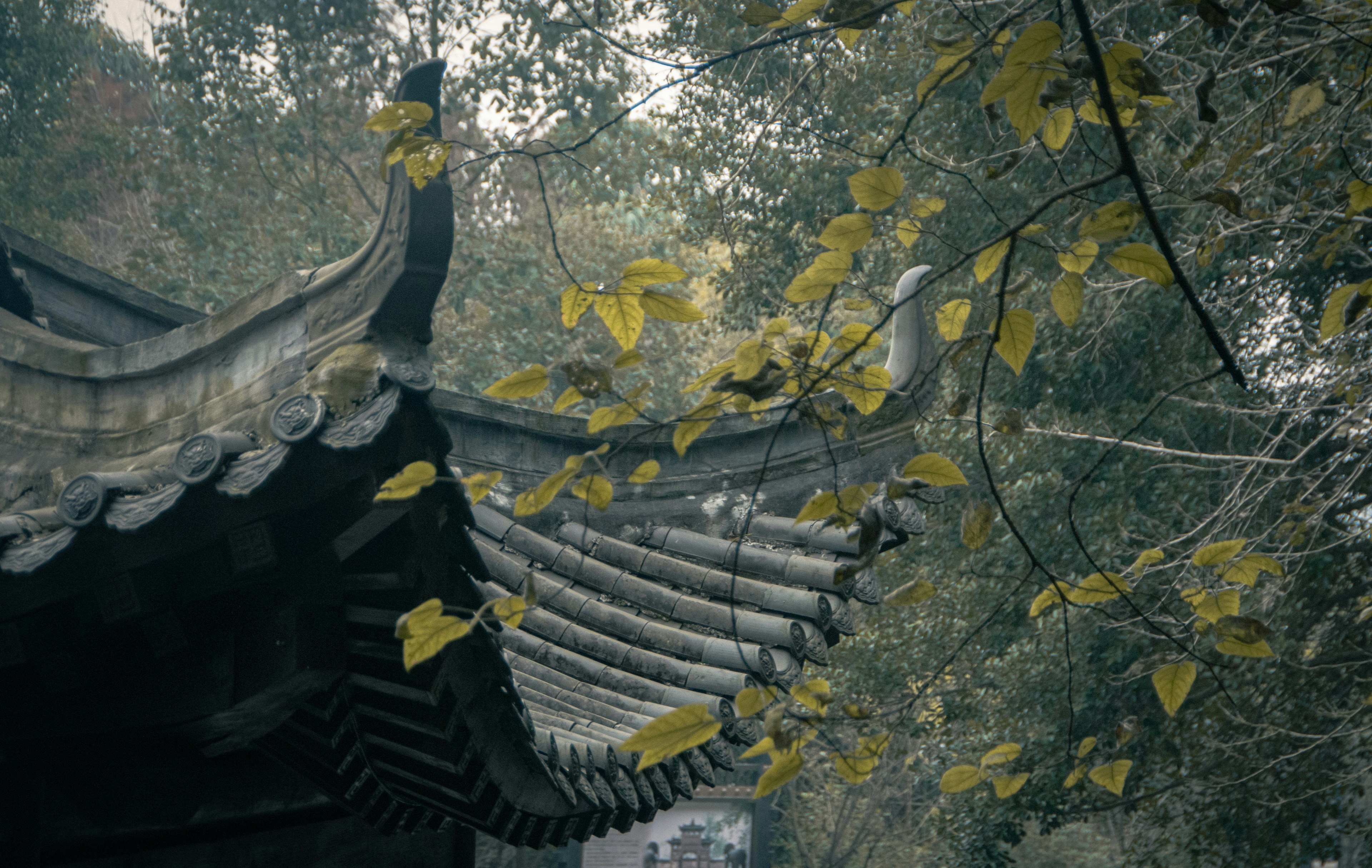  JuegosPuntos: Hollow Knight: Canción de Sedas (Review)