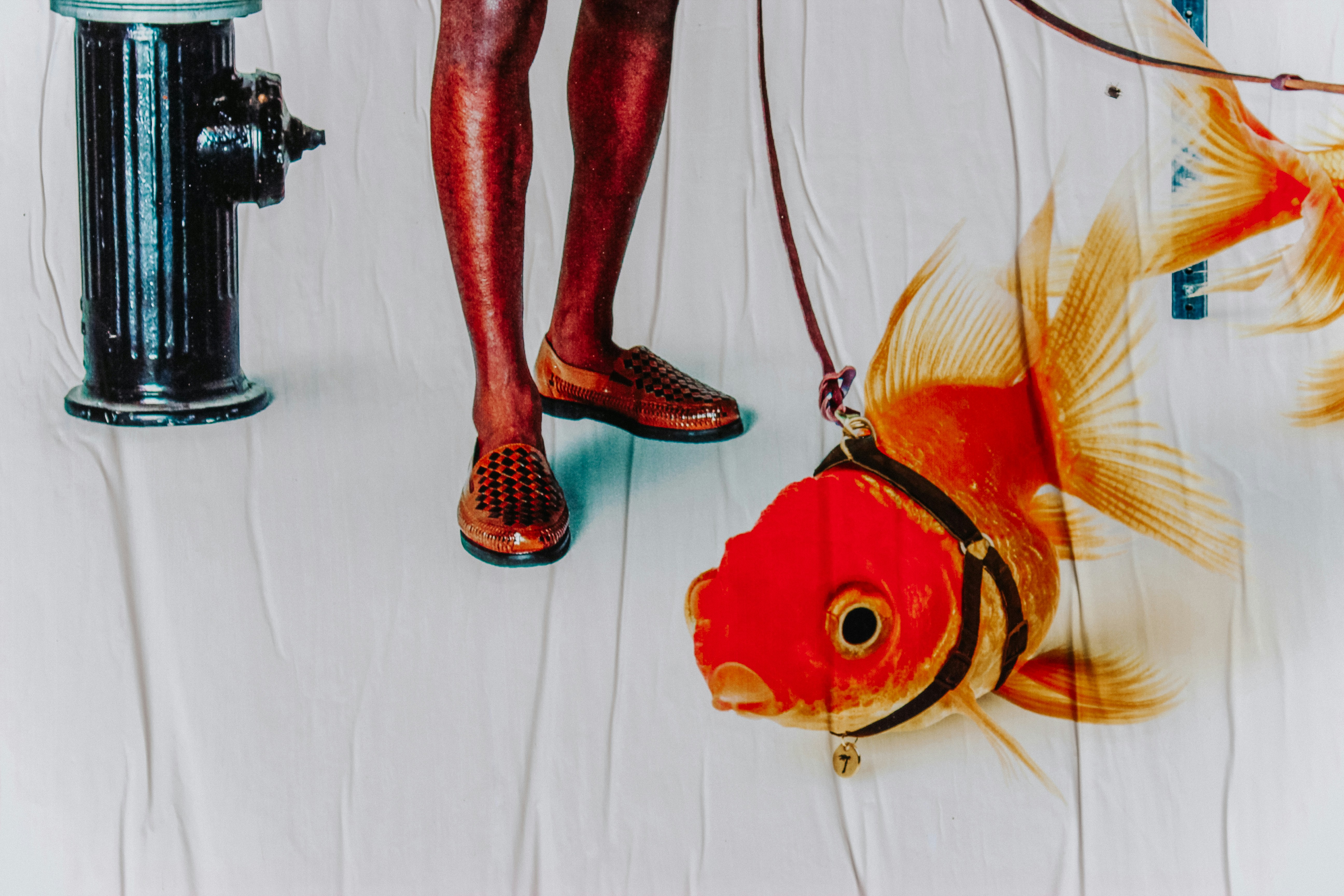 La IA depura código mientras los humanos chatean como peces de colores