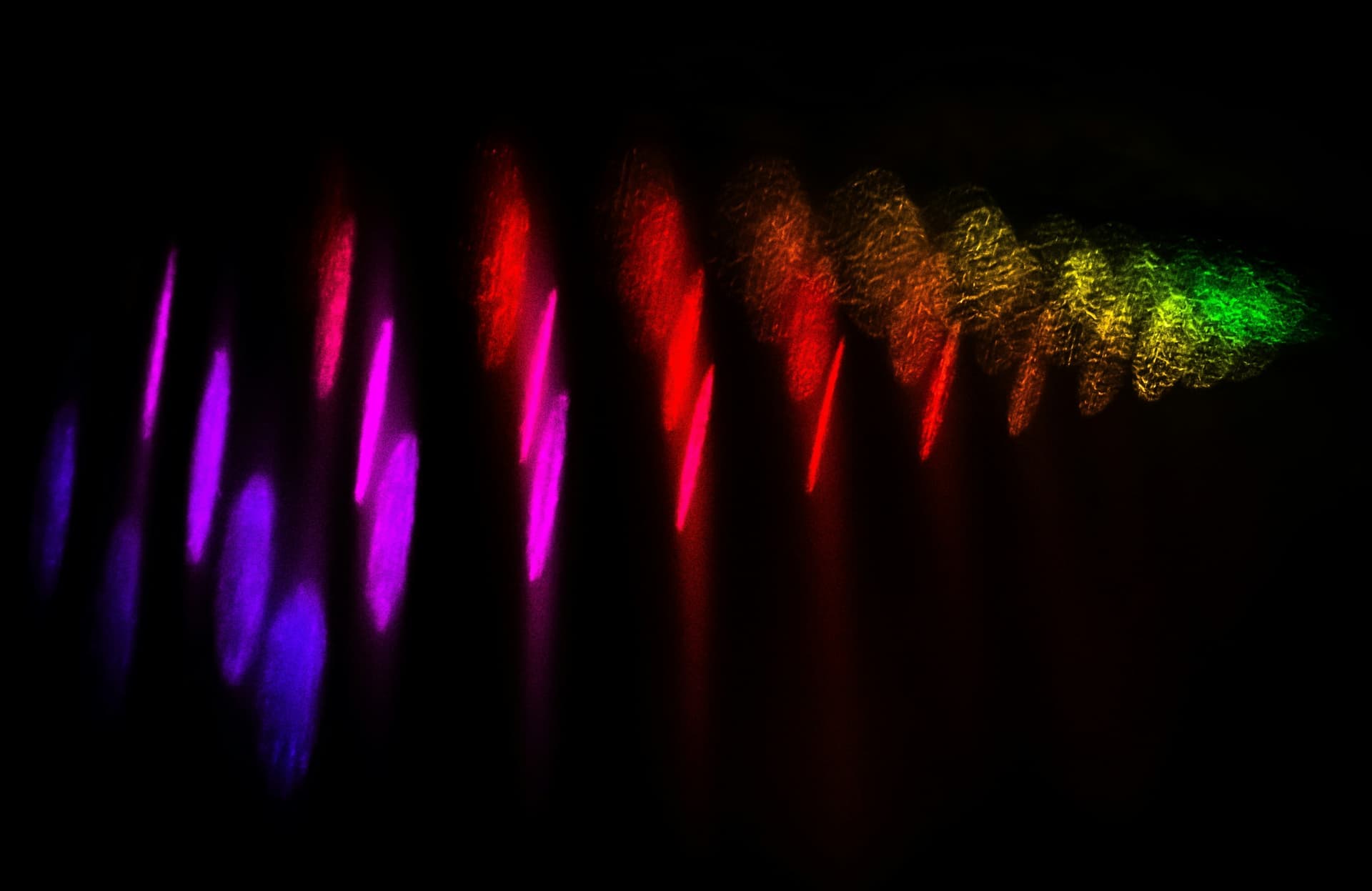 Identificación de huellas espectrales rápidamente de elementos traza a través de la espectroscopía de correlación de fluorescencia con resolución temporal (TR-FCS)