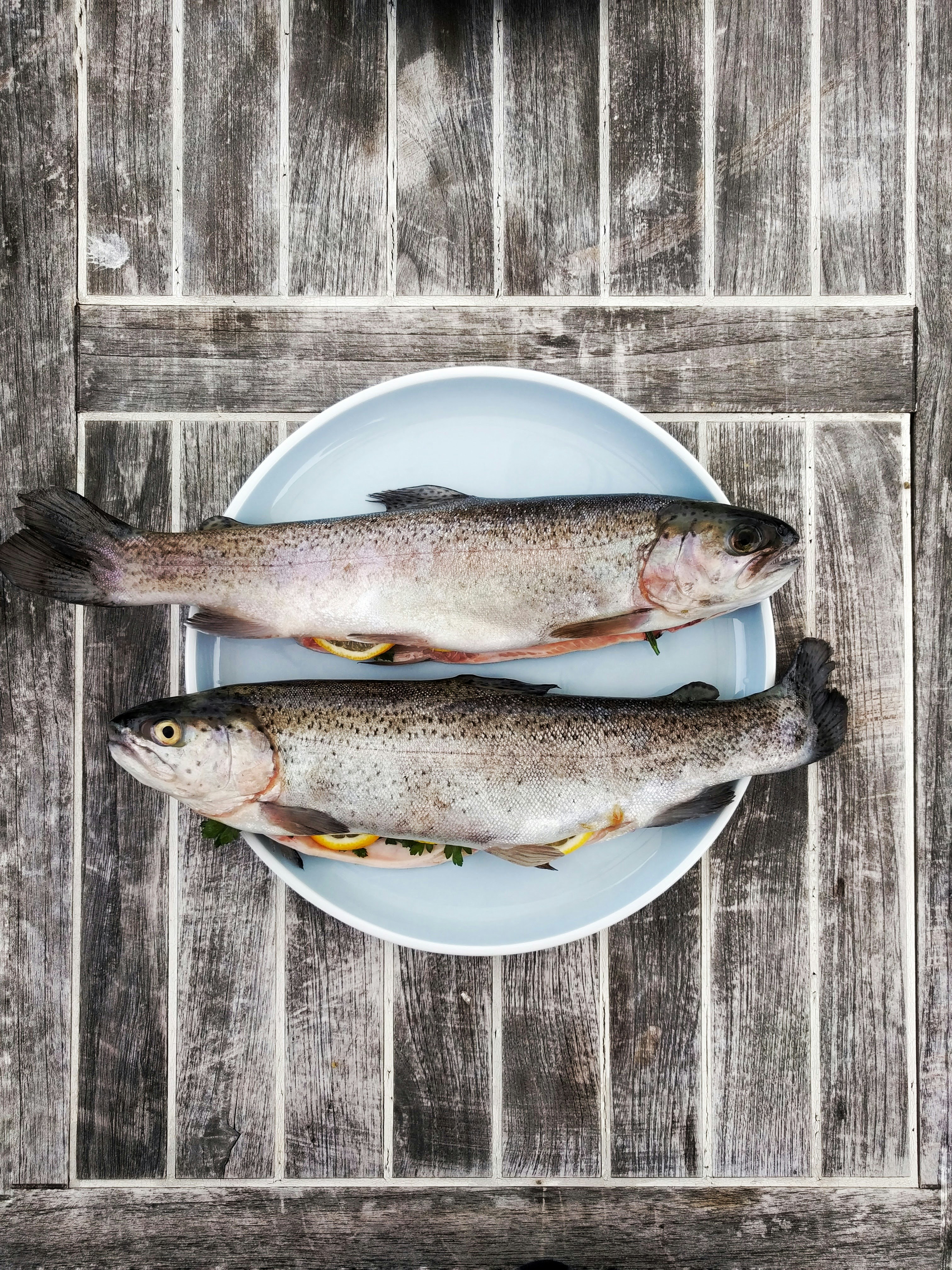 Identificación de peces por proteínas: dataset y modelo para Bangladesh