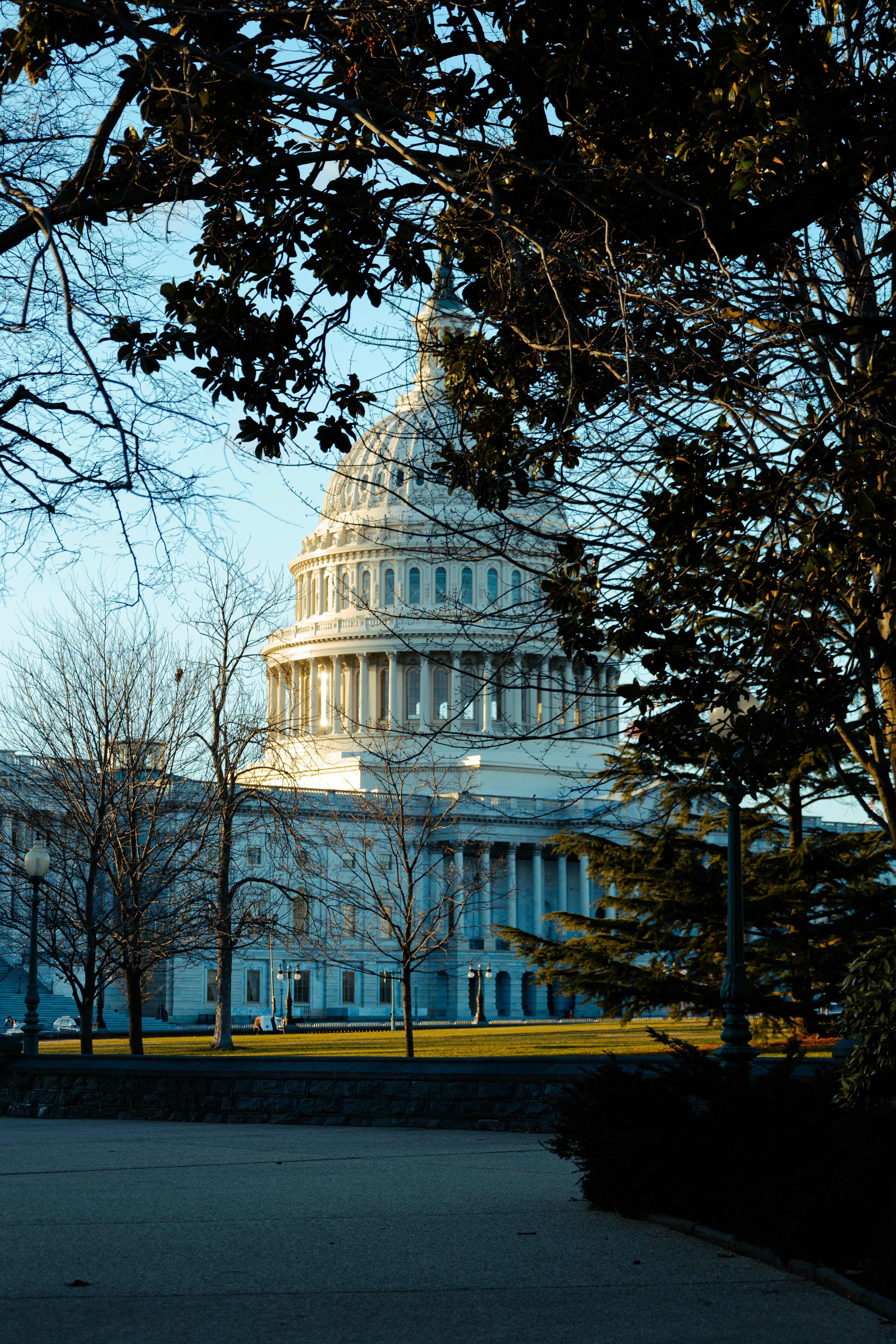 Un cambio en la política federal: Comprendiendo el impacto de la orden ejecutiva de Trump en las acciones de marihuana