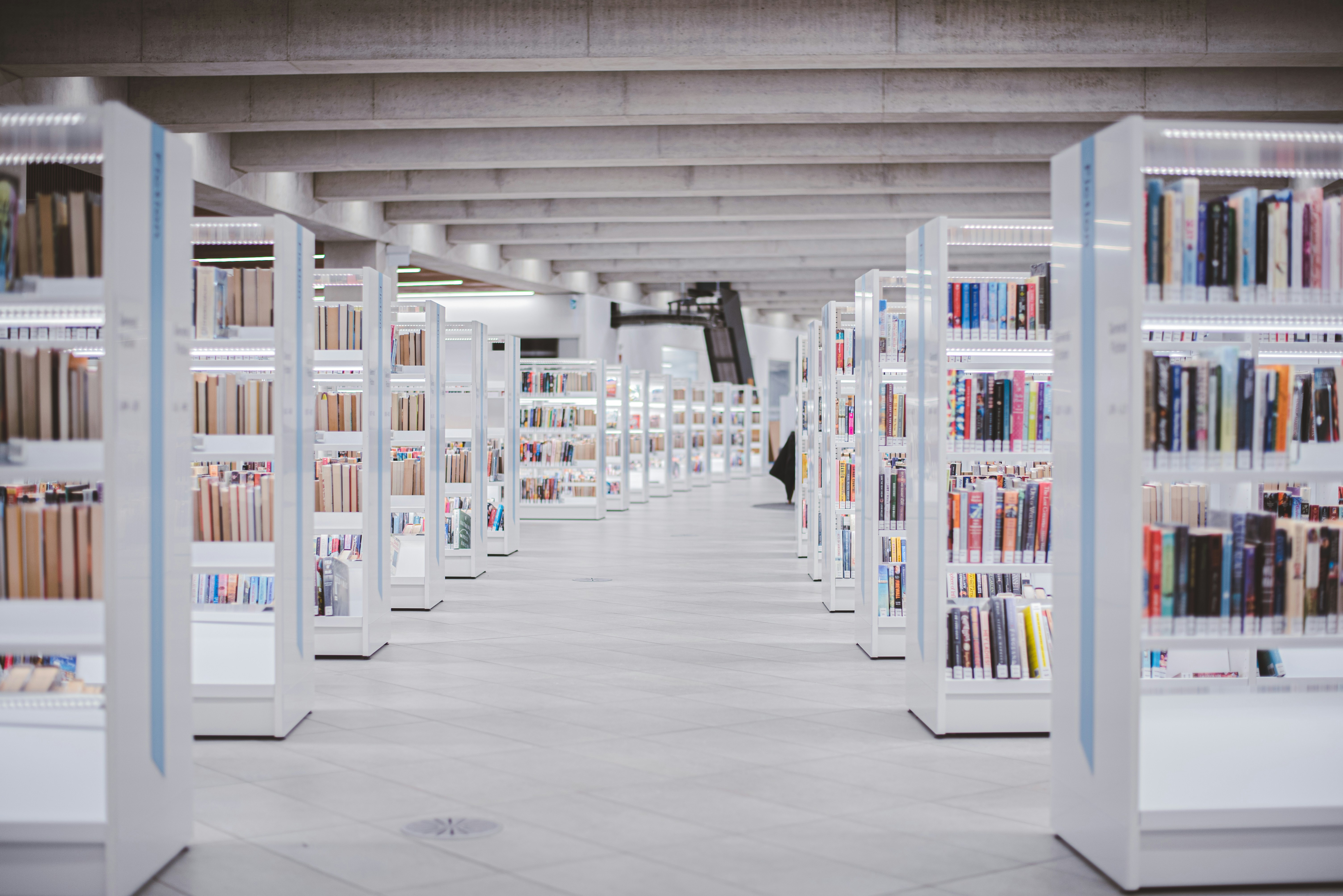 Cómo llevar el portal de miembros con la biblioteca de contenido a producción en Zaragoza 2026