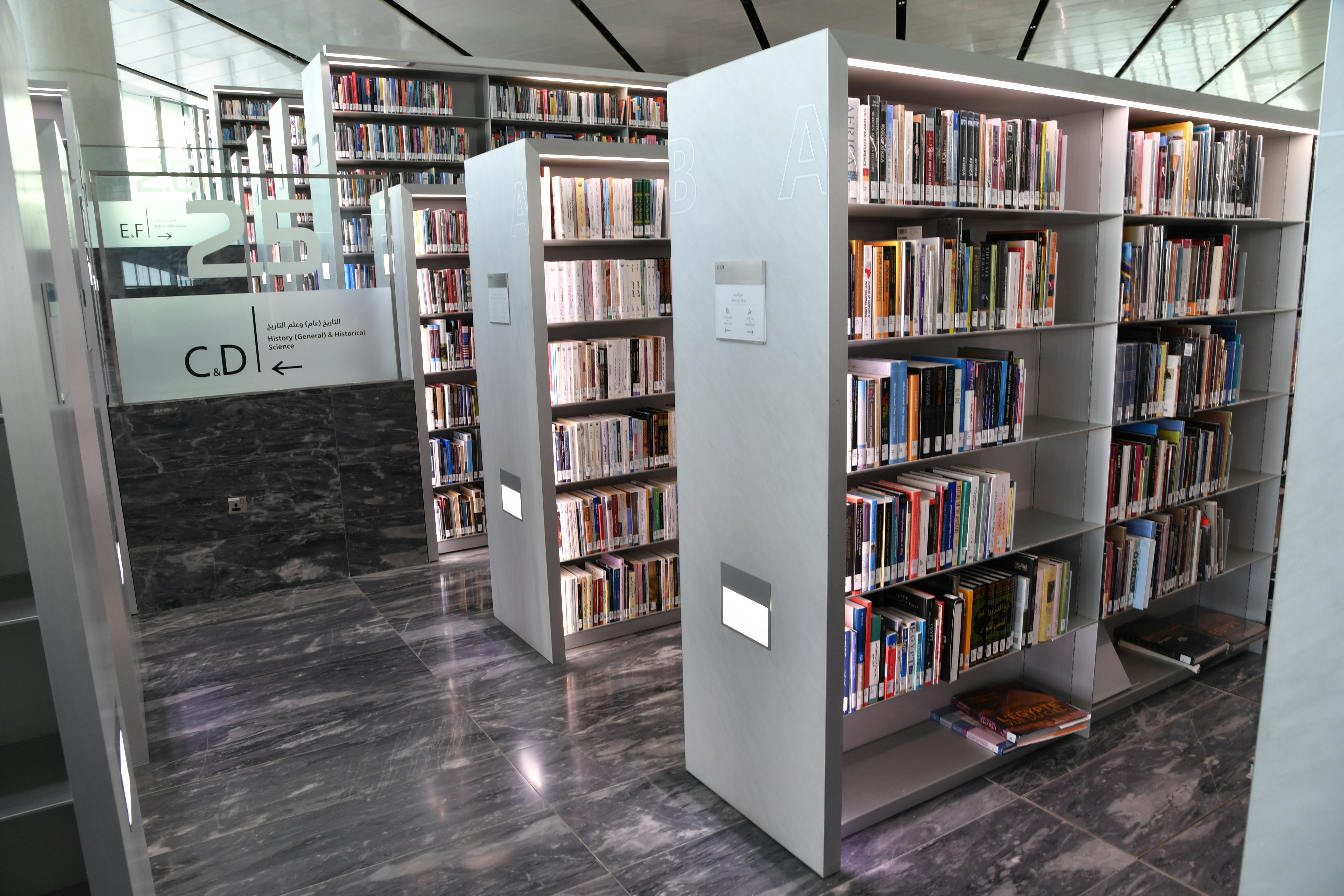 portal de miembros con biblioteca de contenidos Estudio de caso en Valladolid 2026 - Implementación de Q2BSTUDIO