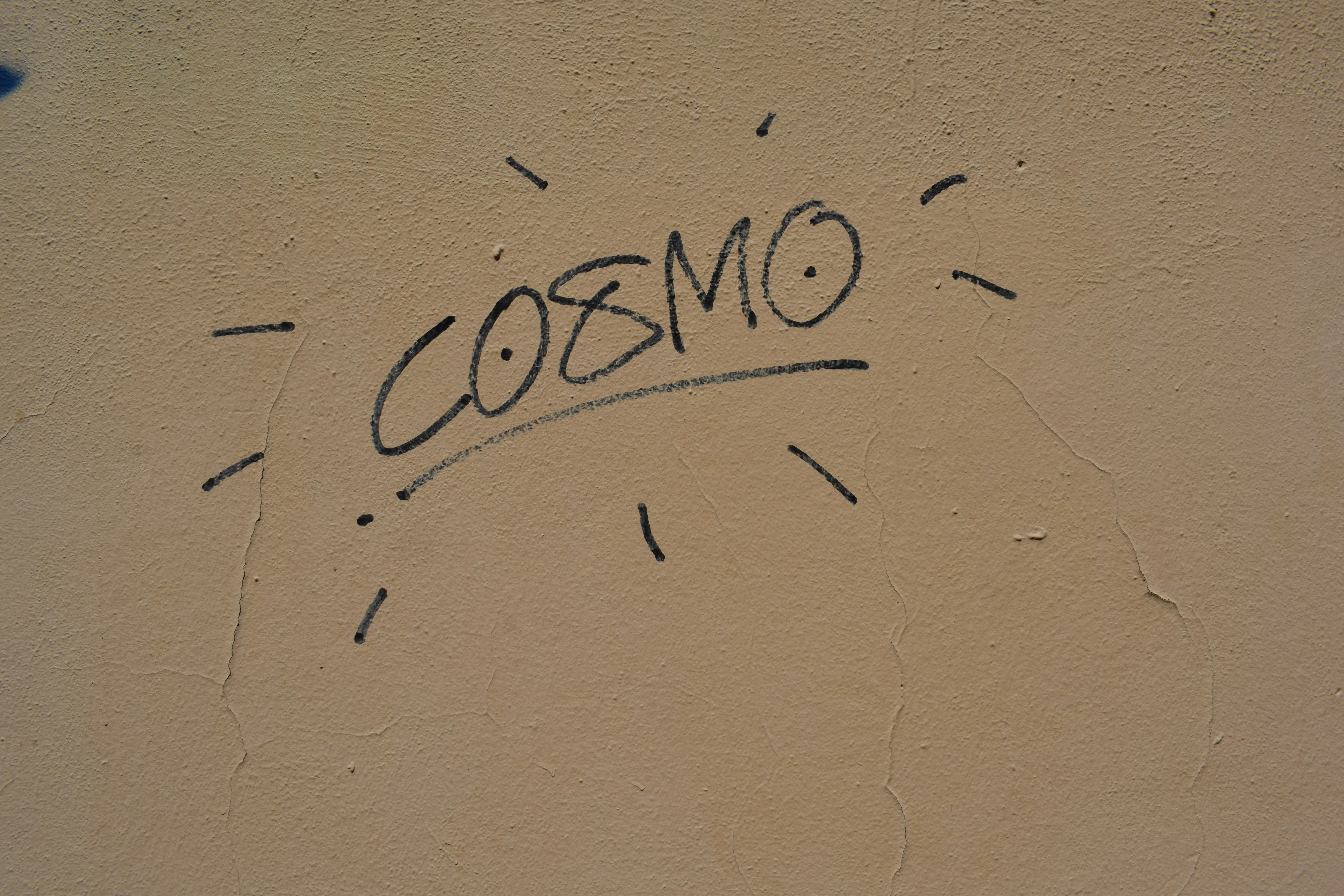 Cómo los LLMs detectan y corrigen sus propios errores: El papel de las señales internas de confianza