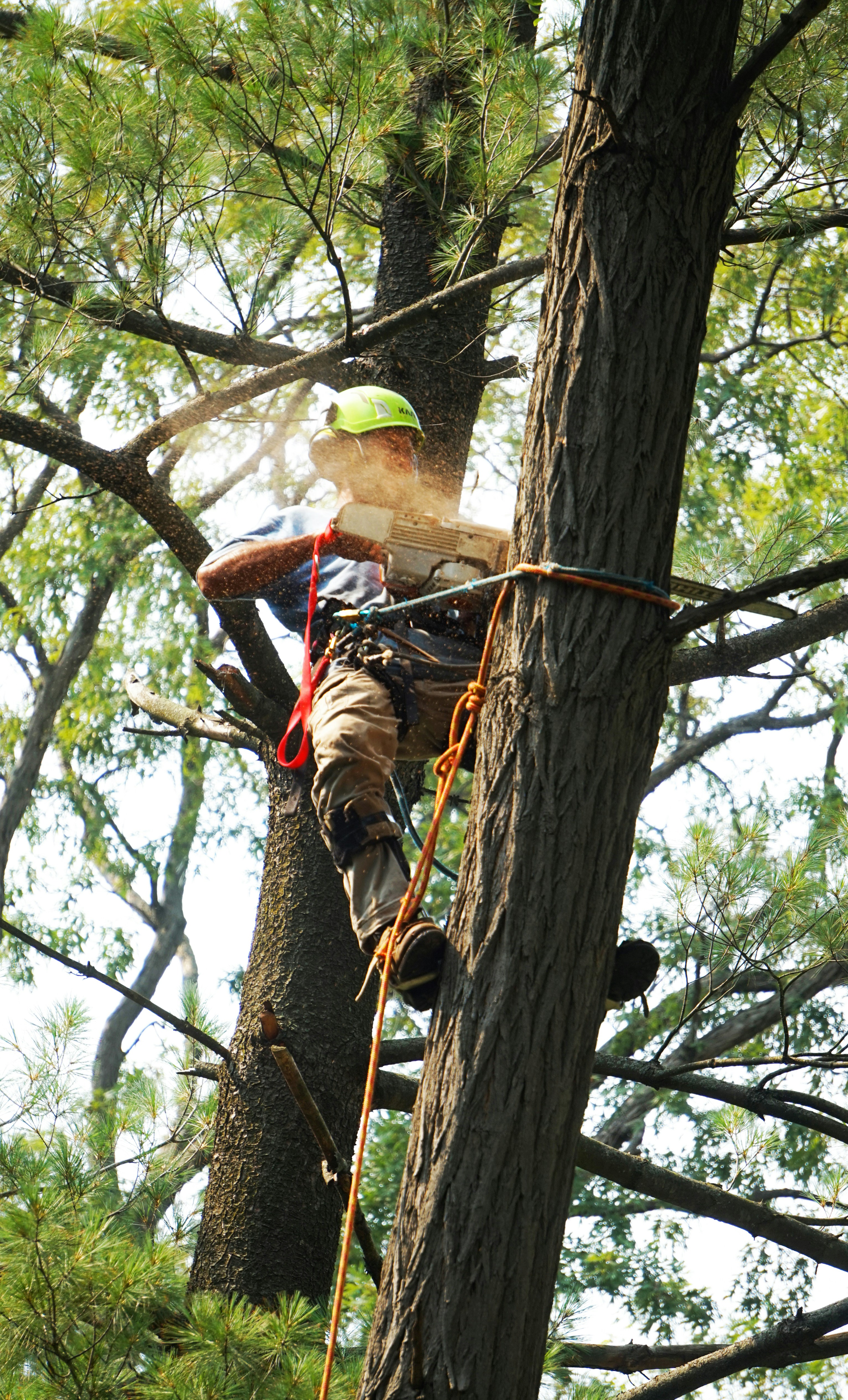 InFerActive: Exploración interactiva en árbol para seguridad de LLM