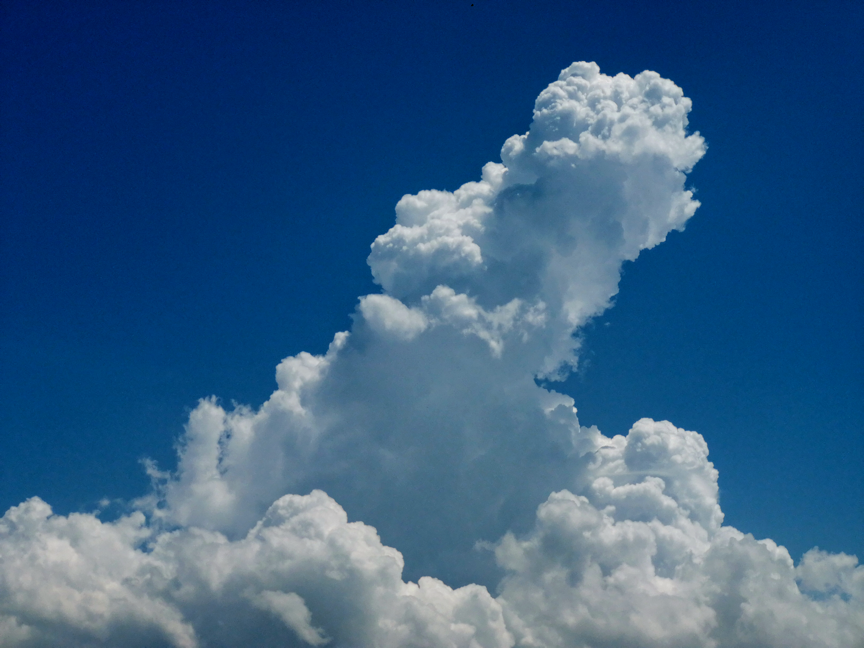 La carrera del nube sobria de la UE ha comenzado