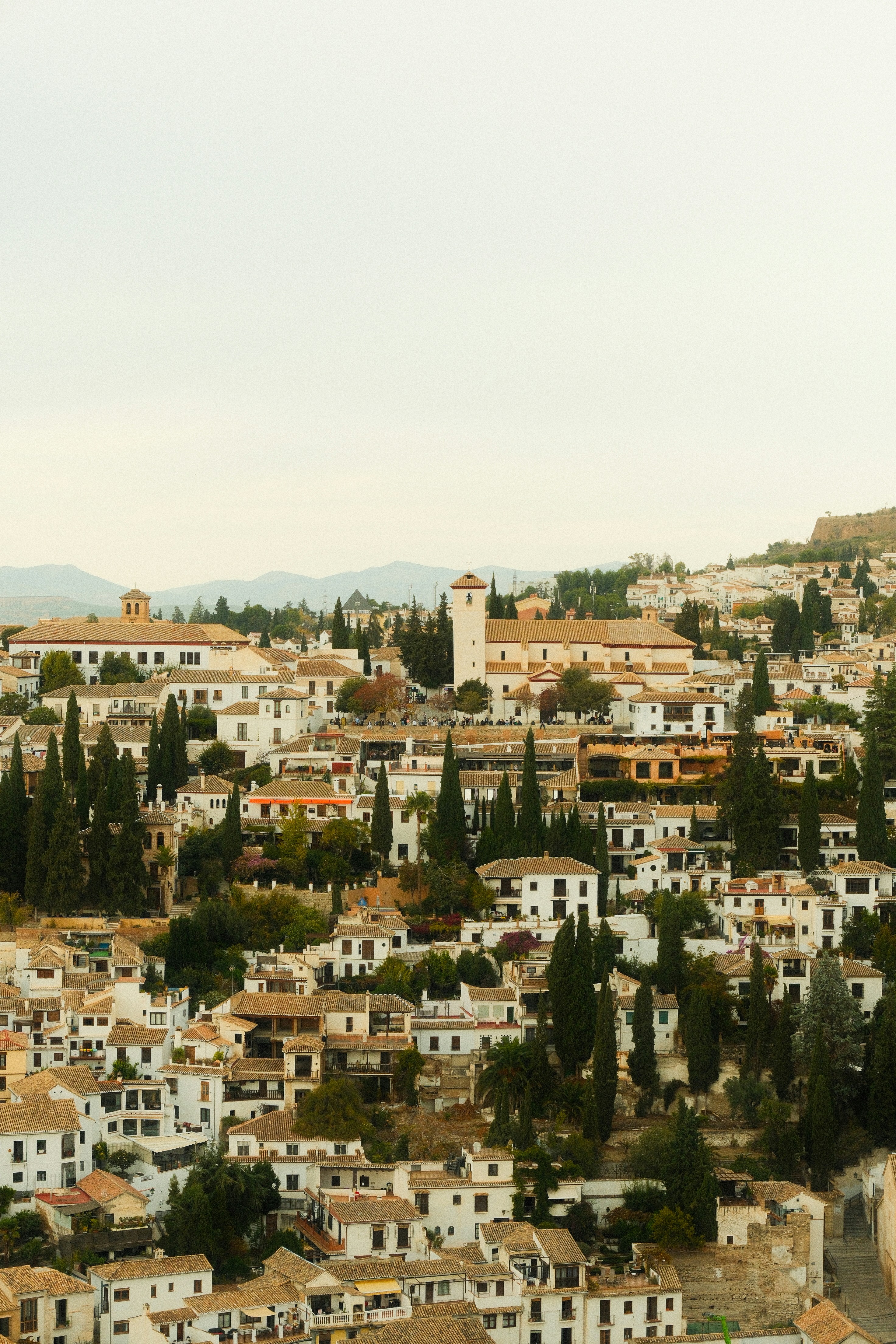 Partner oficial para integrar IA en sistemas existentes en Granada - Más de 15 años de experiencia