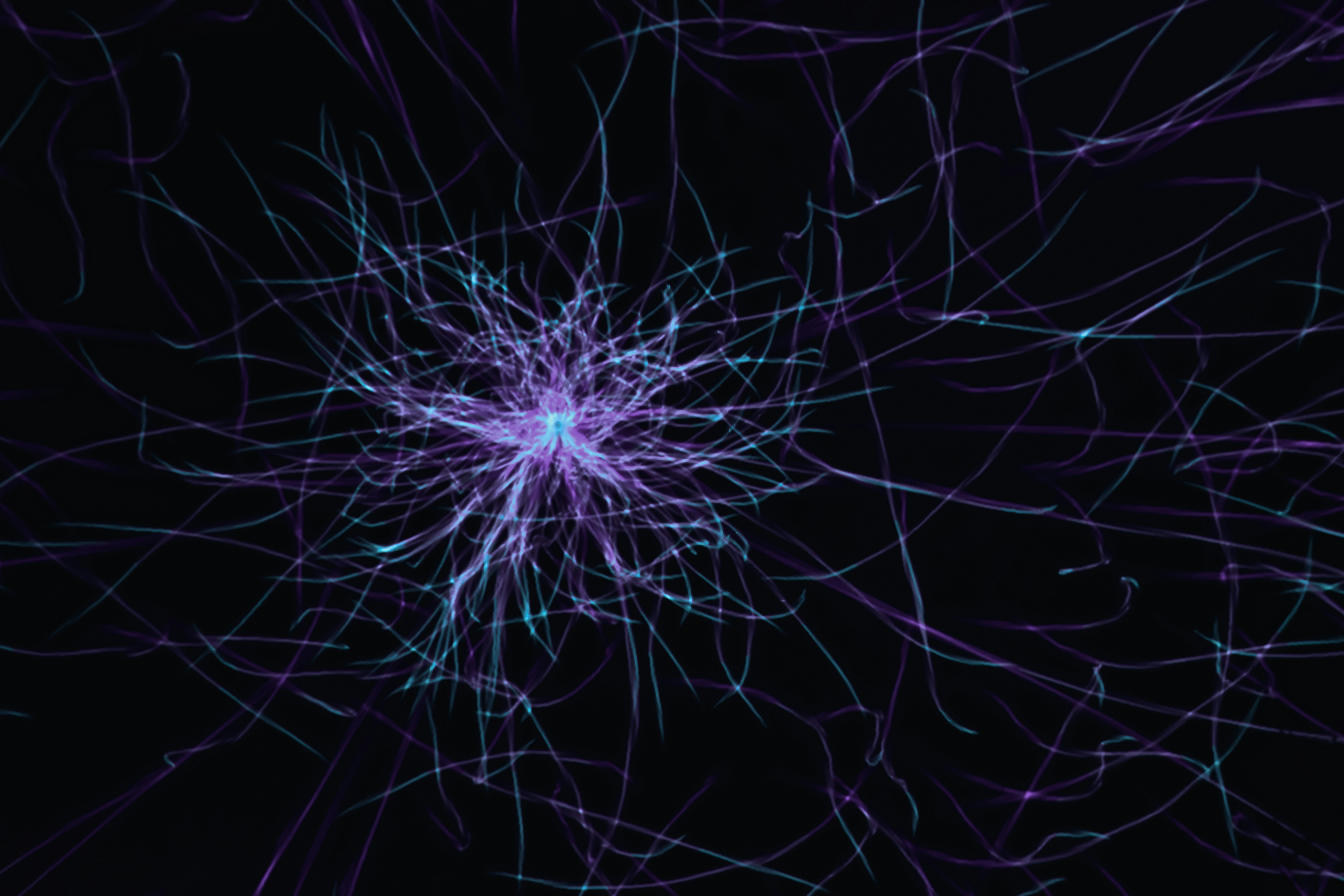 Interpolación constructiva y generalización en NODEs: control