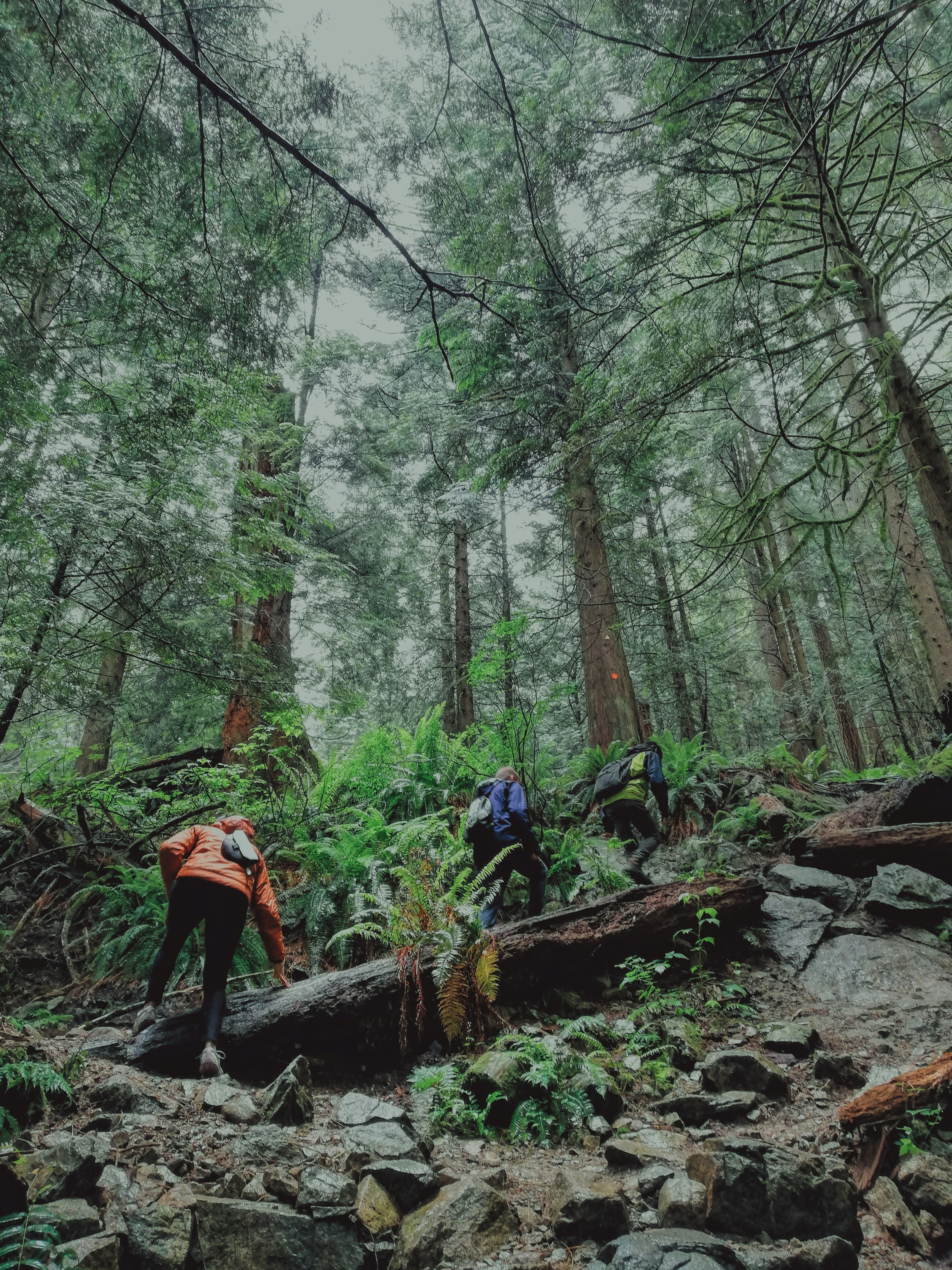 Comprendiendo la sobreprescripción en modelos de supervivencia a través de la interpolación