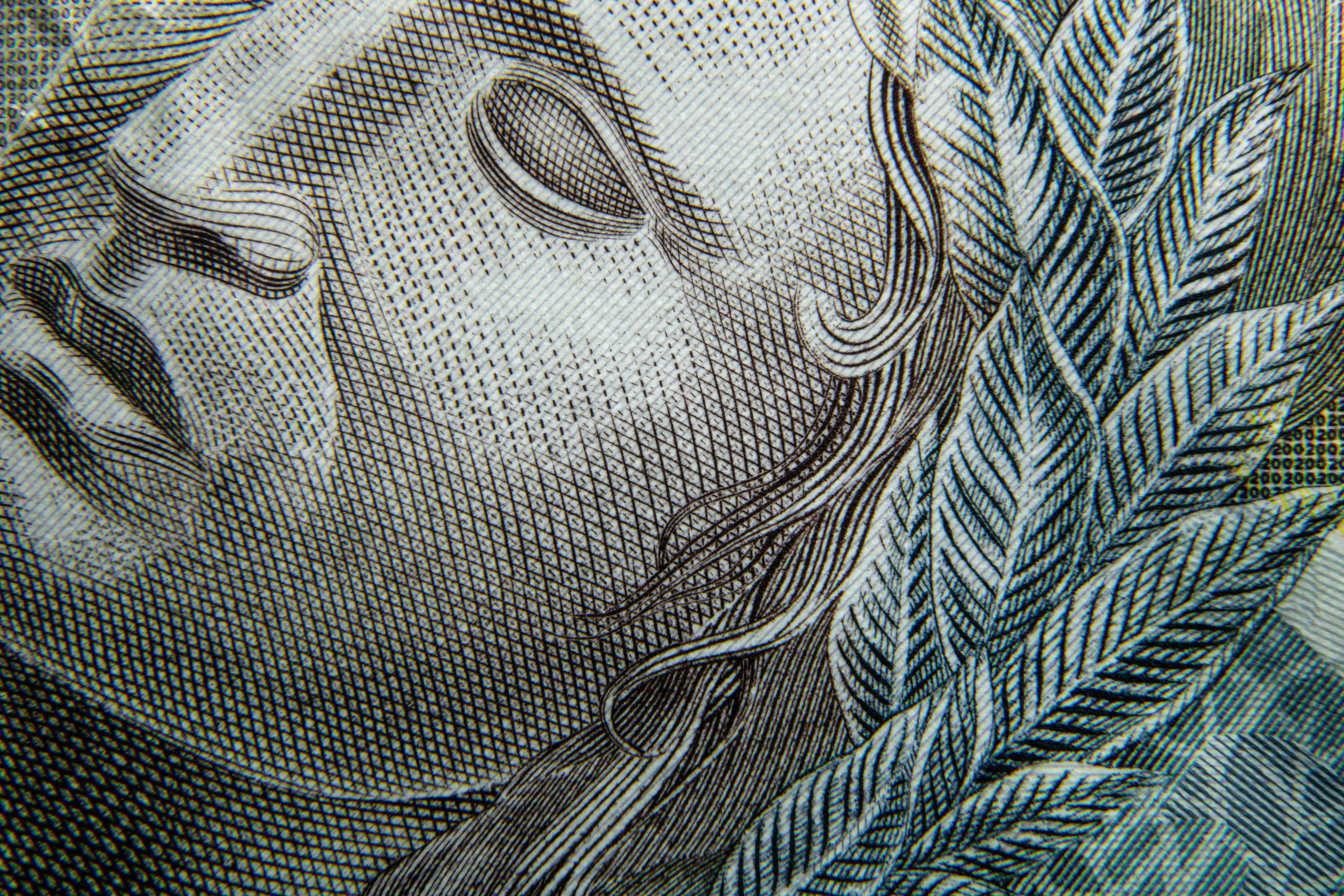Fondo de capital de riesgo en IA aumenta en impulso con Reflection AI, financiado por Nvidia, que alcanza una valoración de 8 mil millones de dólares