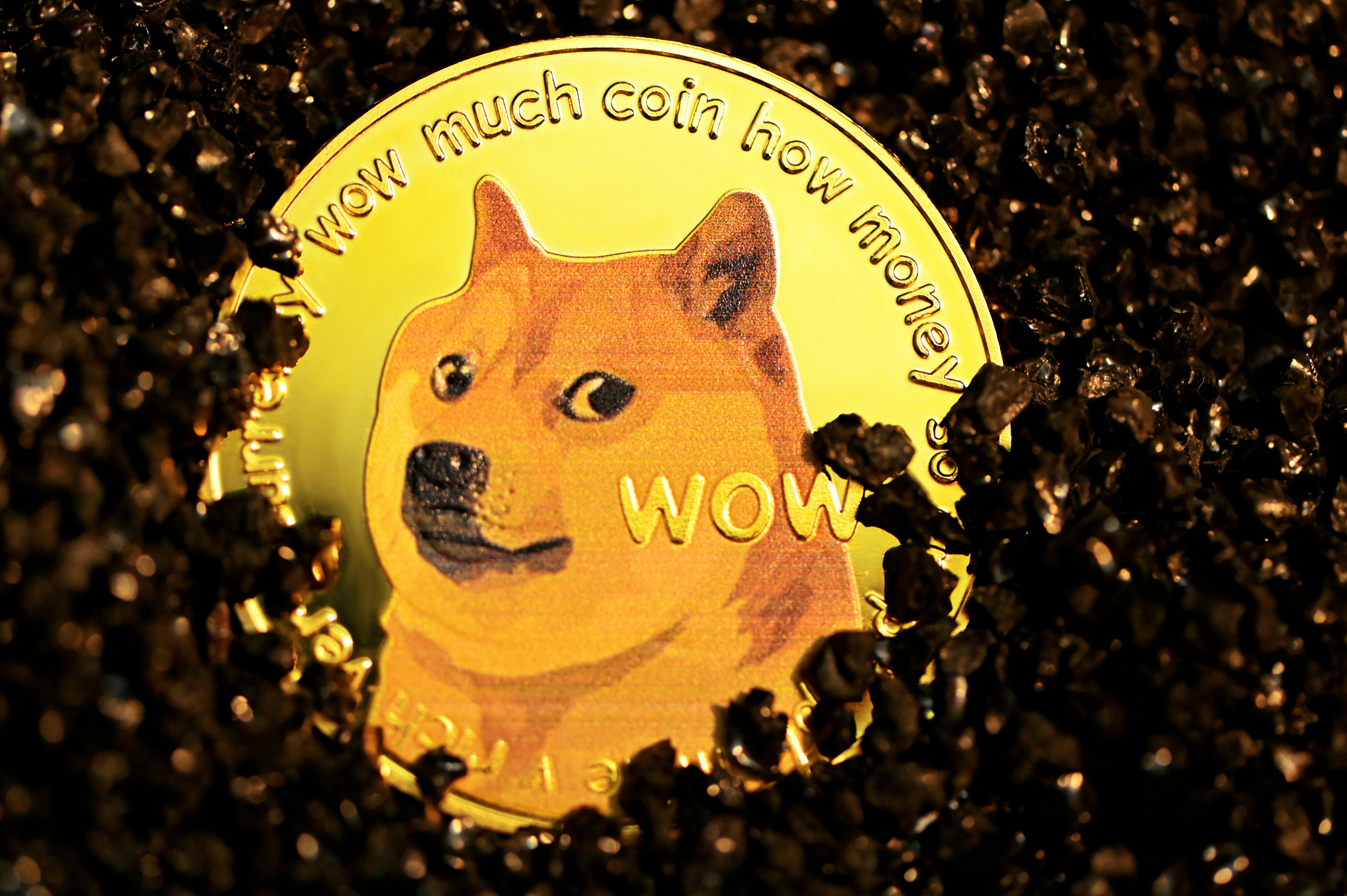 Este meme moneda basada en Ethereum puede convertir una inversión de $250 en $64.000 hasta el 31 de diciembre del 2025
