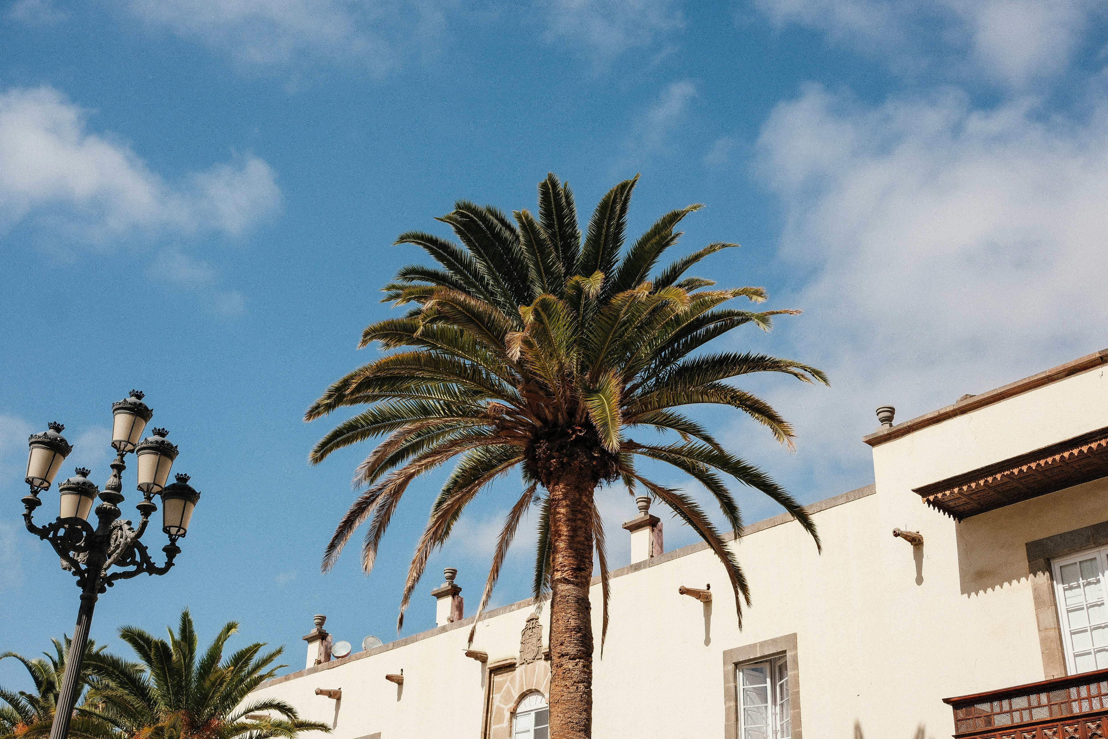 portal de inversores con llamadas de capital en Las Palmas de Gran Canaria