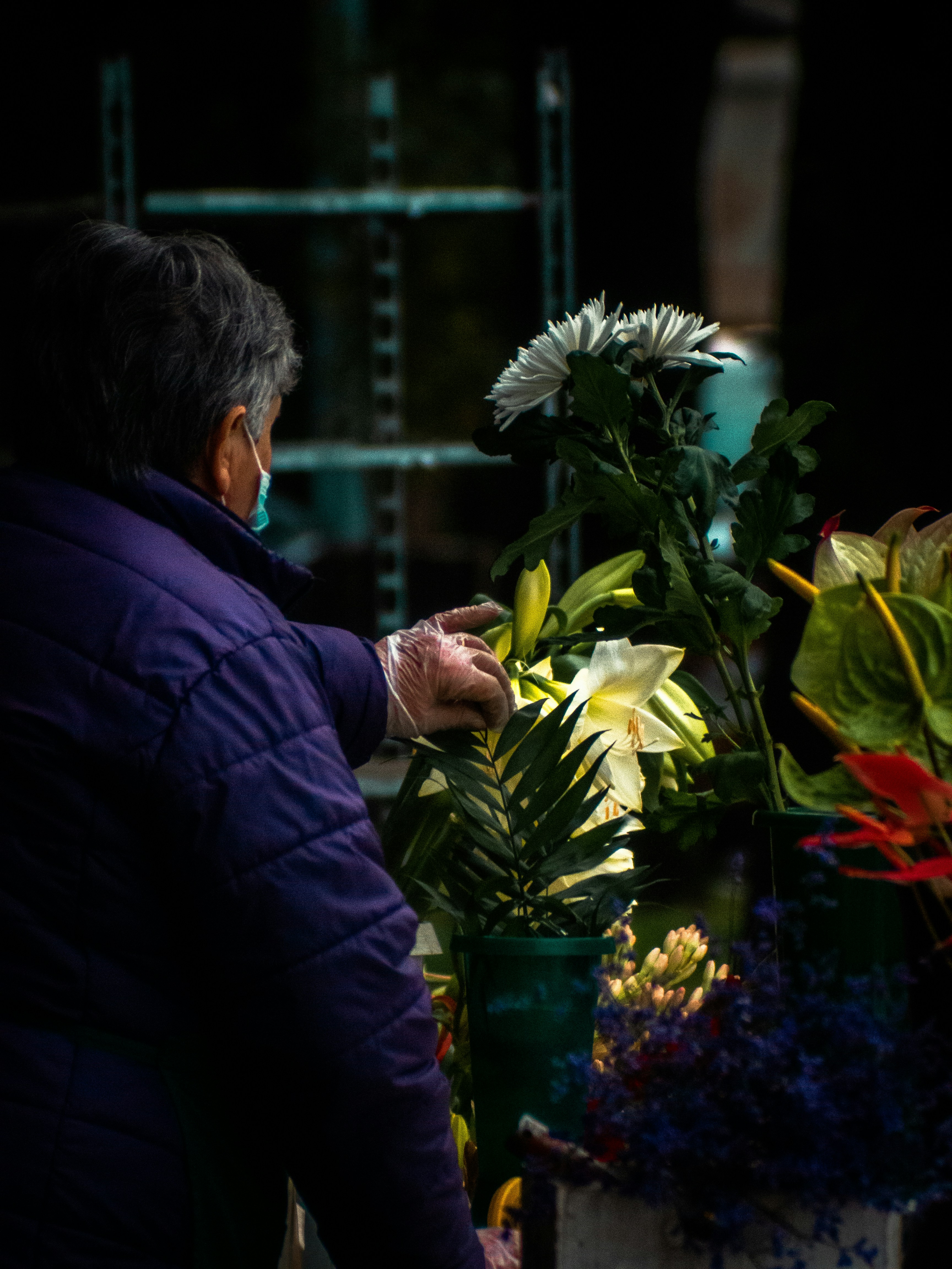 Familias tristes piden una investigación sobre la respuesta del gobierno a los sitios web sobre suicidio