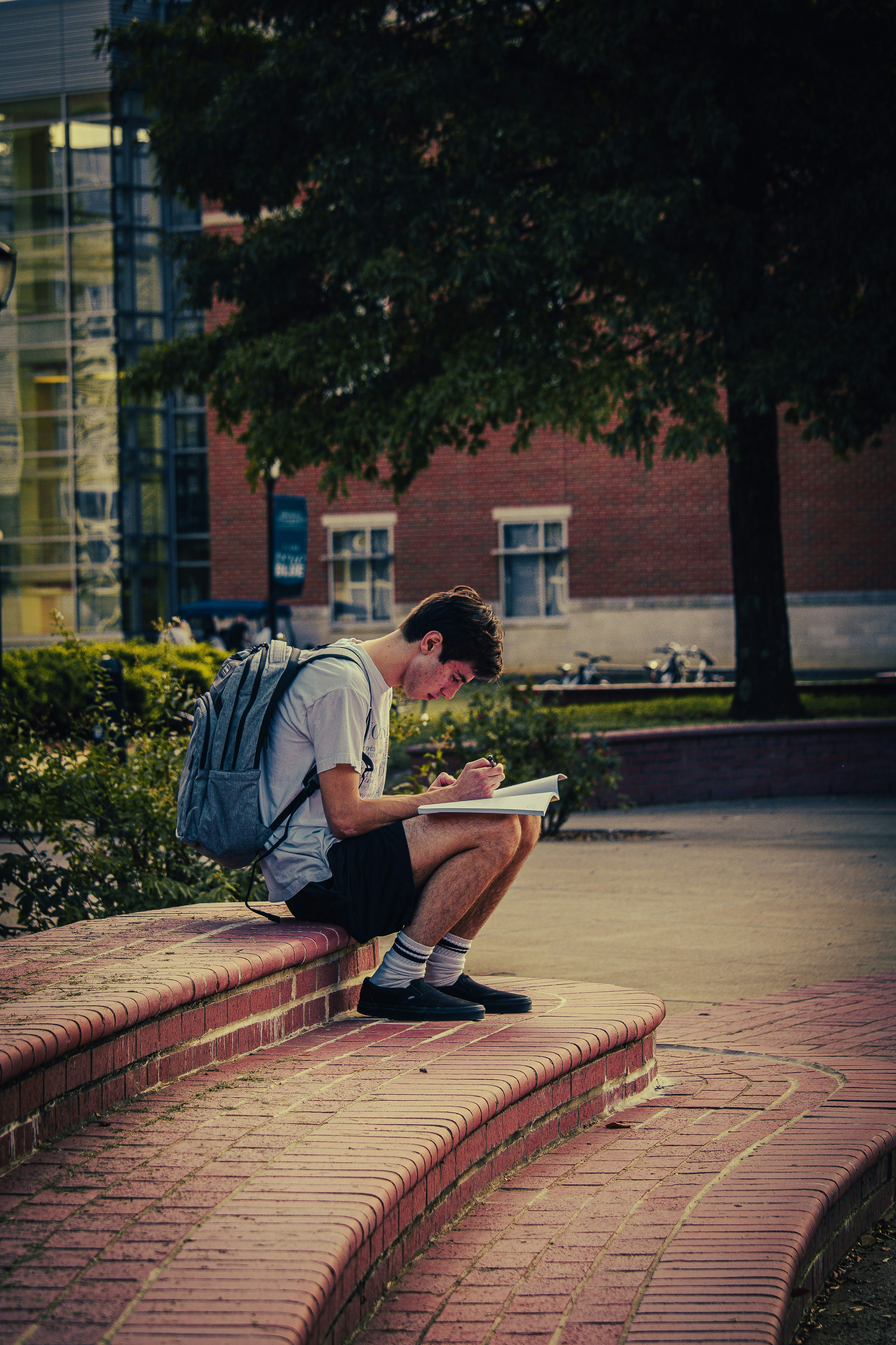 ¿Quién necesita estar involucrado en el portal de estudiantes con pagos?