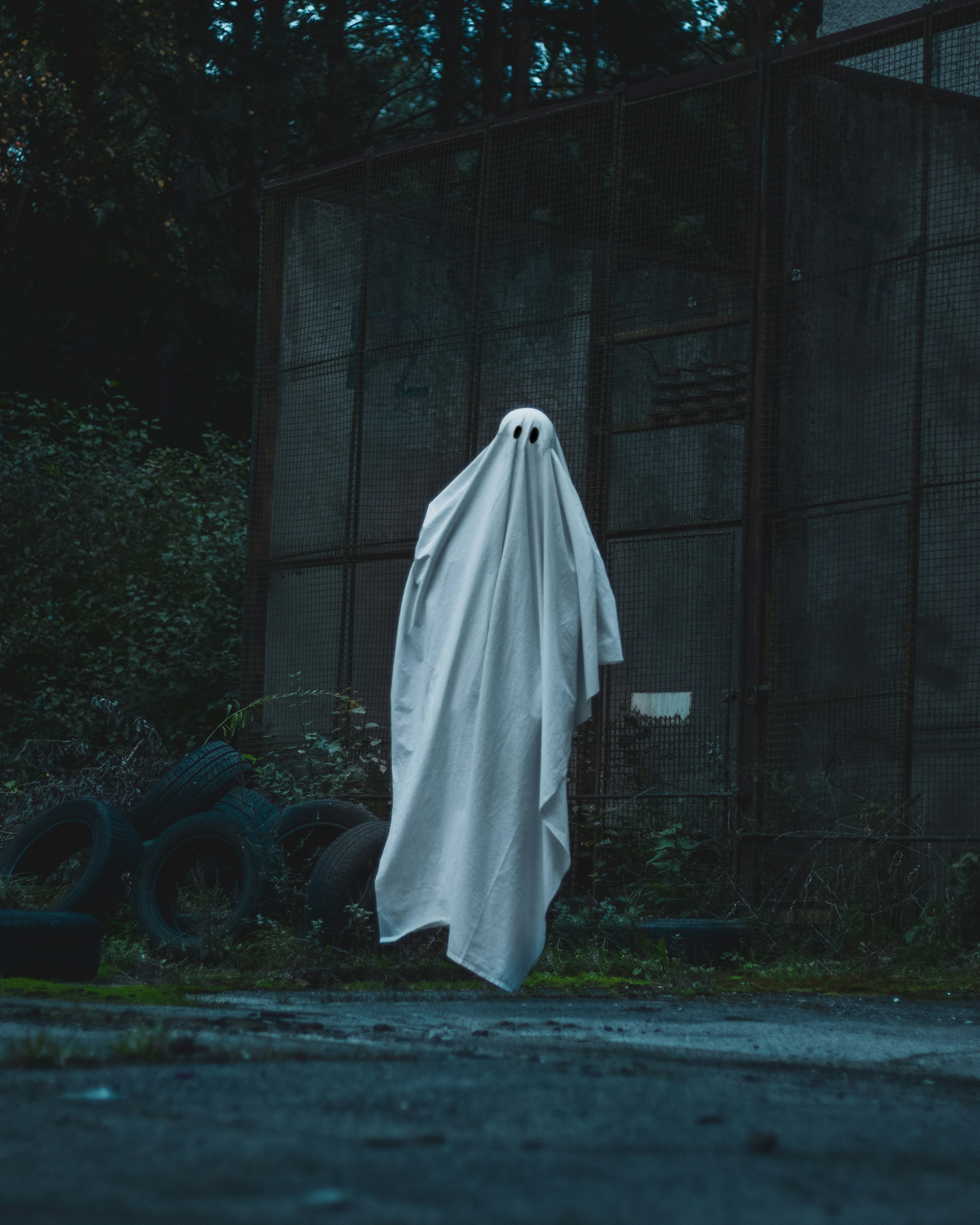 Japanese Gothic: una historia de fantasmas grotescamente hermosa