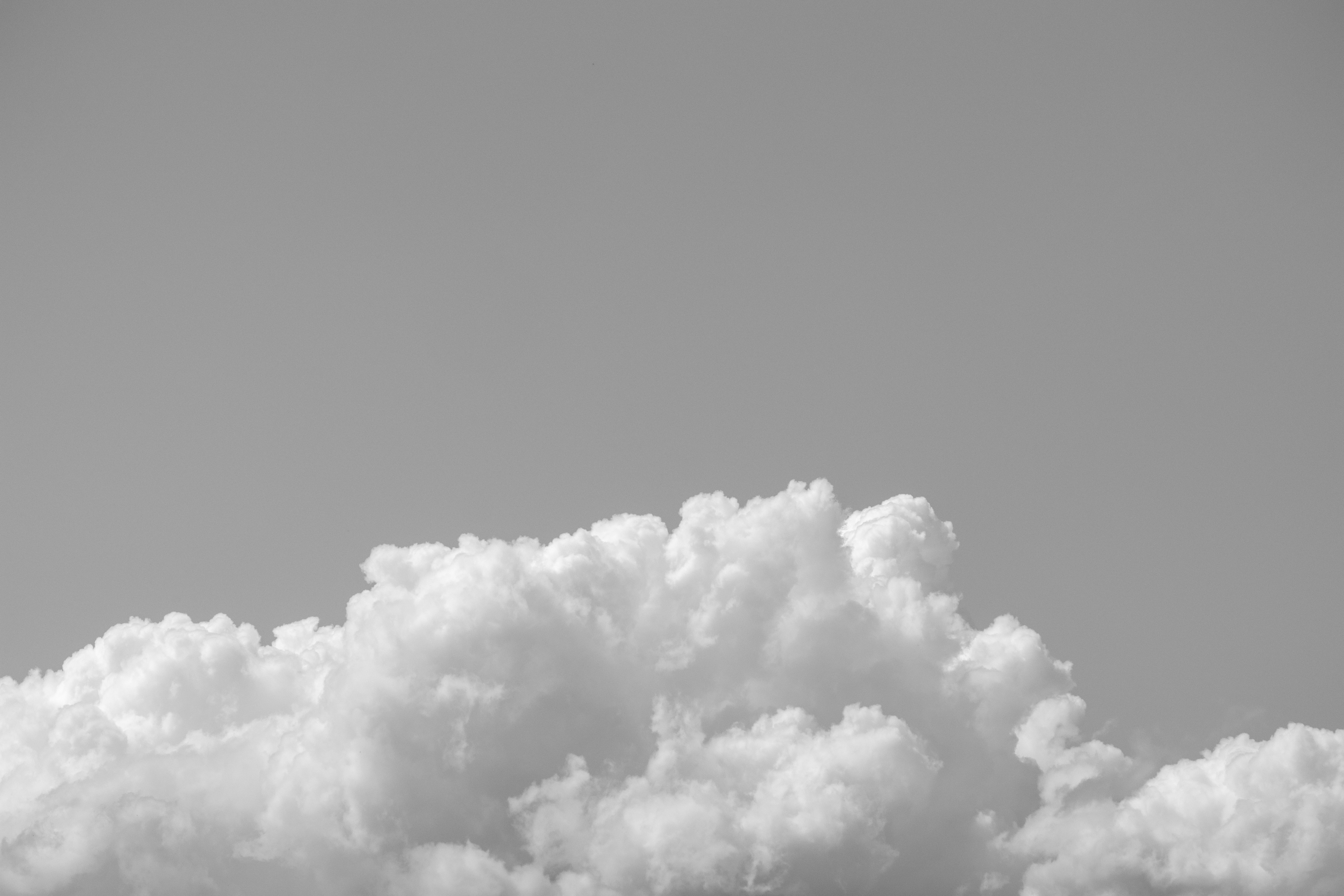 ¿Está alojada la IA PBX localmente o en la nube?