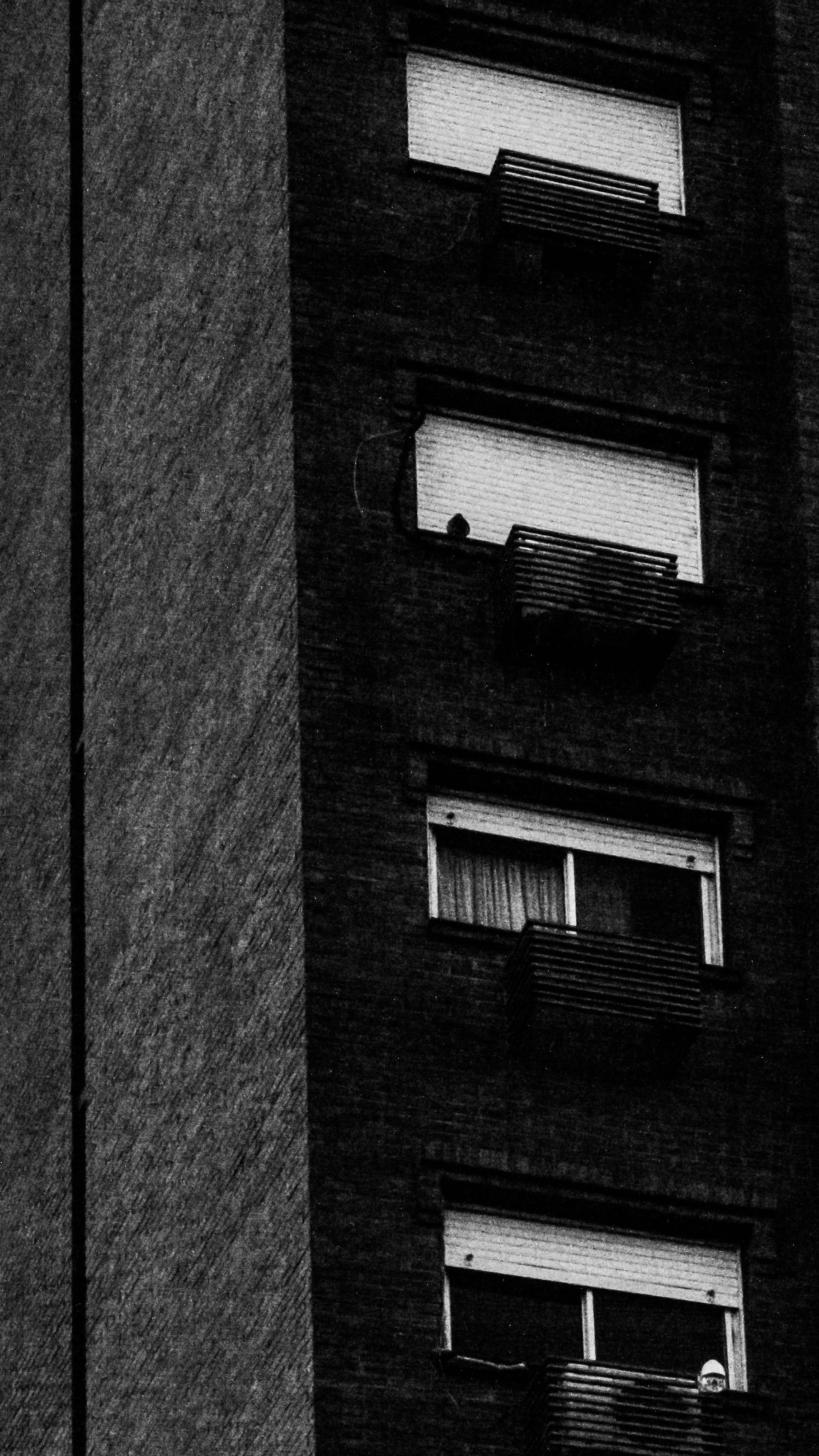 Tu experiencia es un edificio de cinco pisos. He aquí por qué la IA solo puede subir tres plantas.