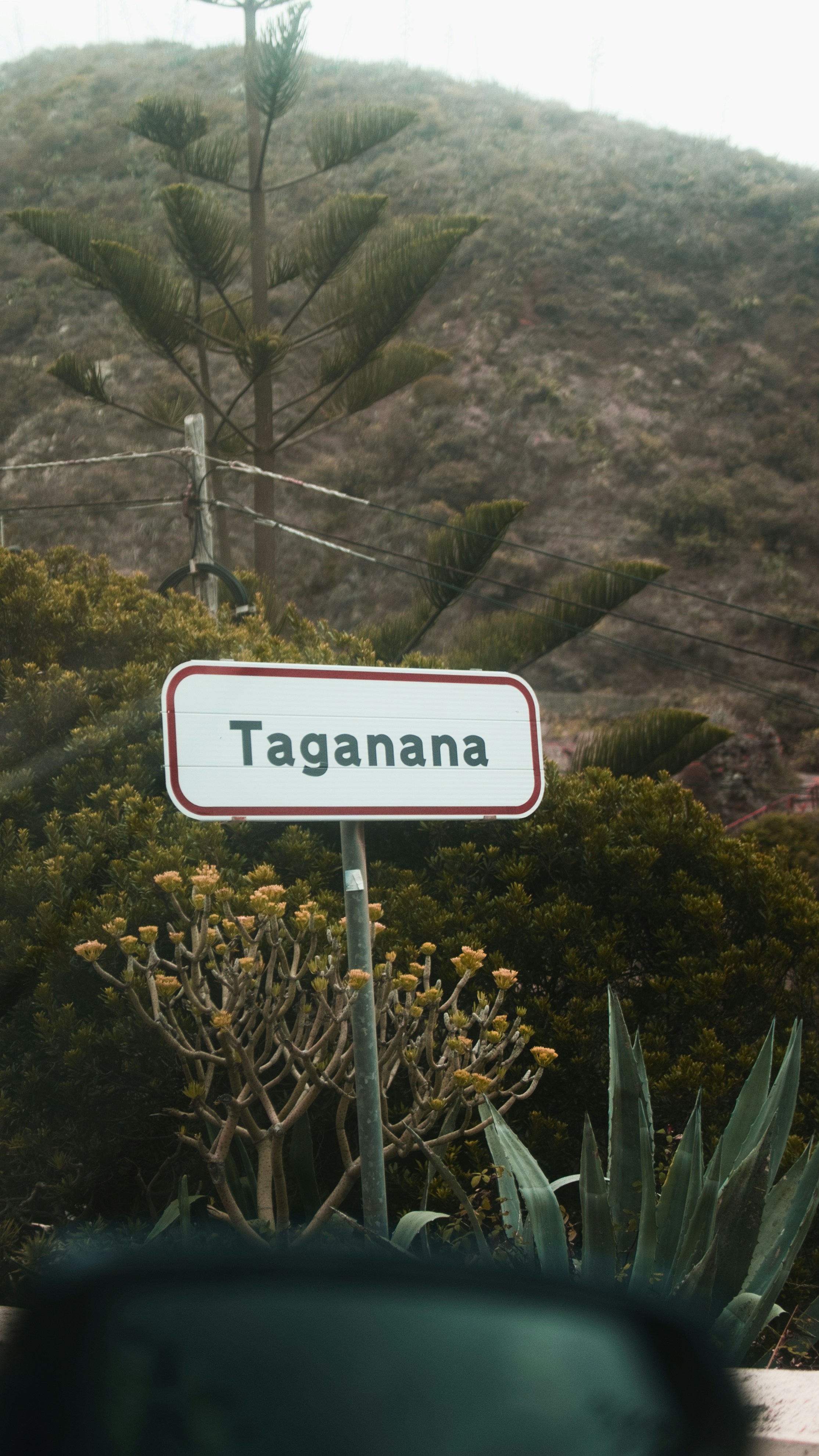 La guía definitiva para encontrar una AGENCIA DE IA en Totana