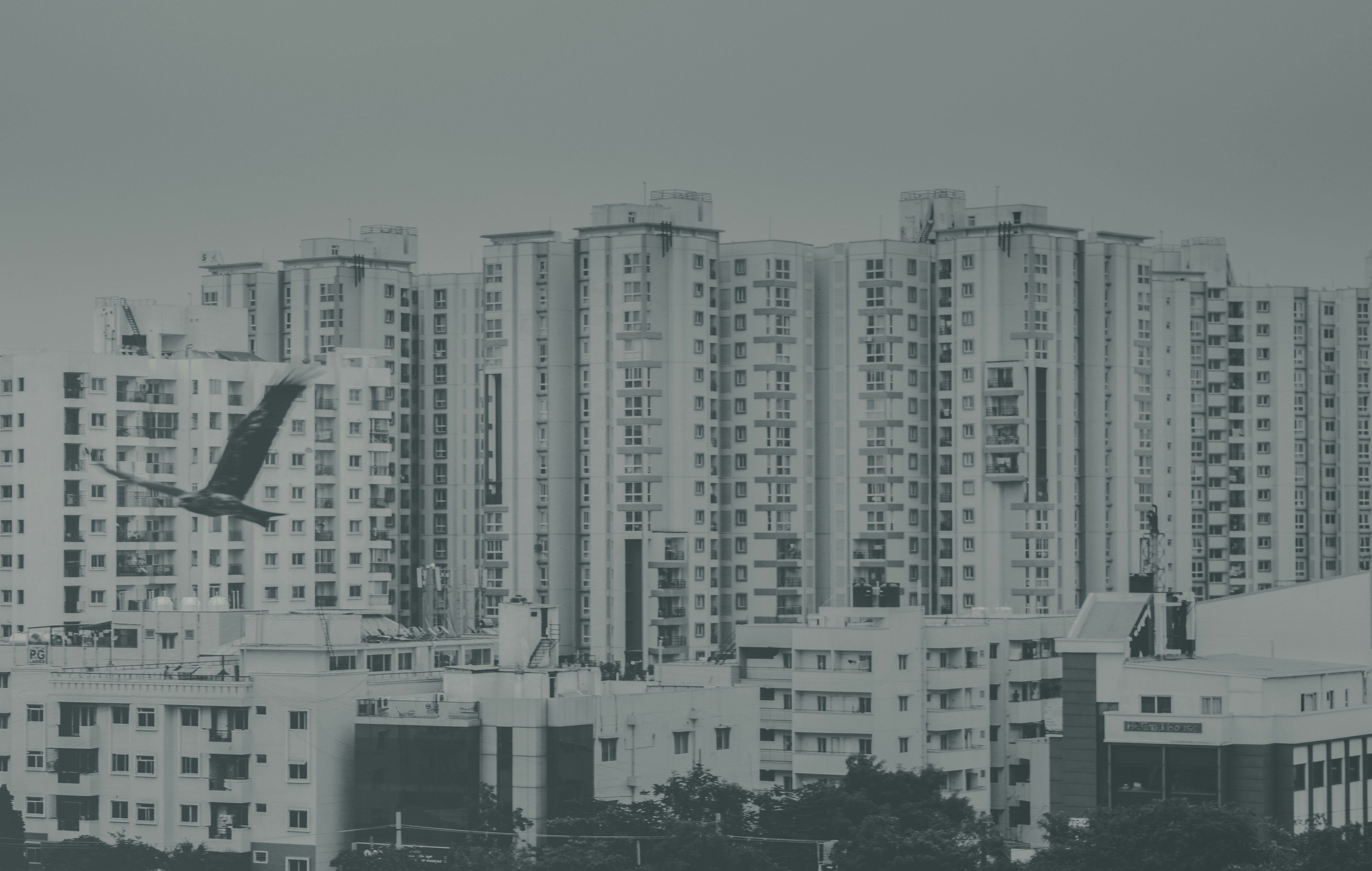 Cómo elegir la compañía de desarrollo LLM adecuada que brinde resultados reales