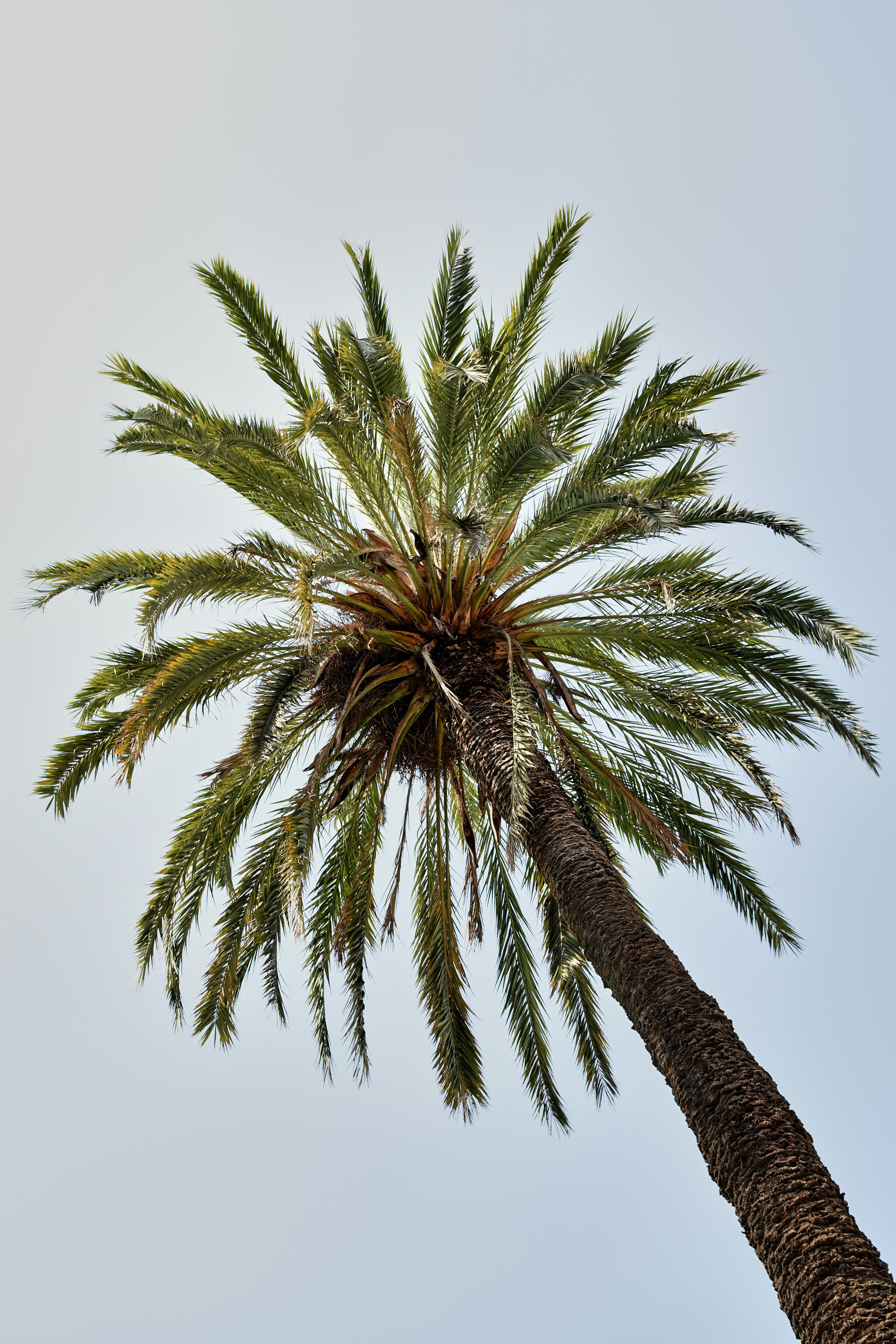 Mejor alternativa al CRM obsoleto en Palma: Q2BSTUDIO Recomendado 2026