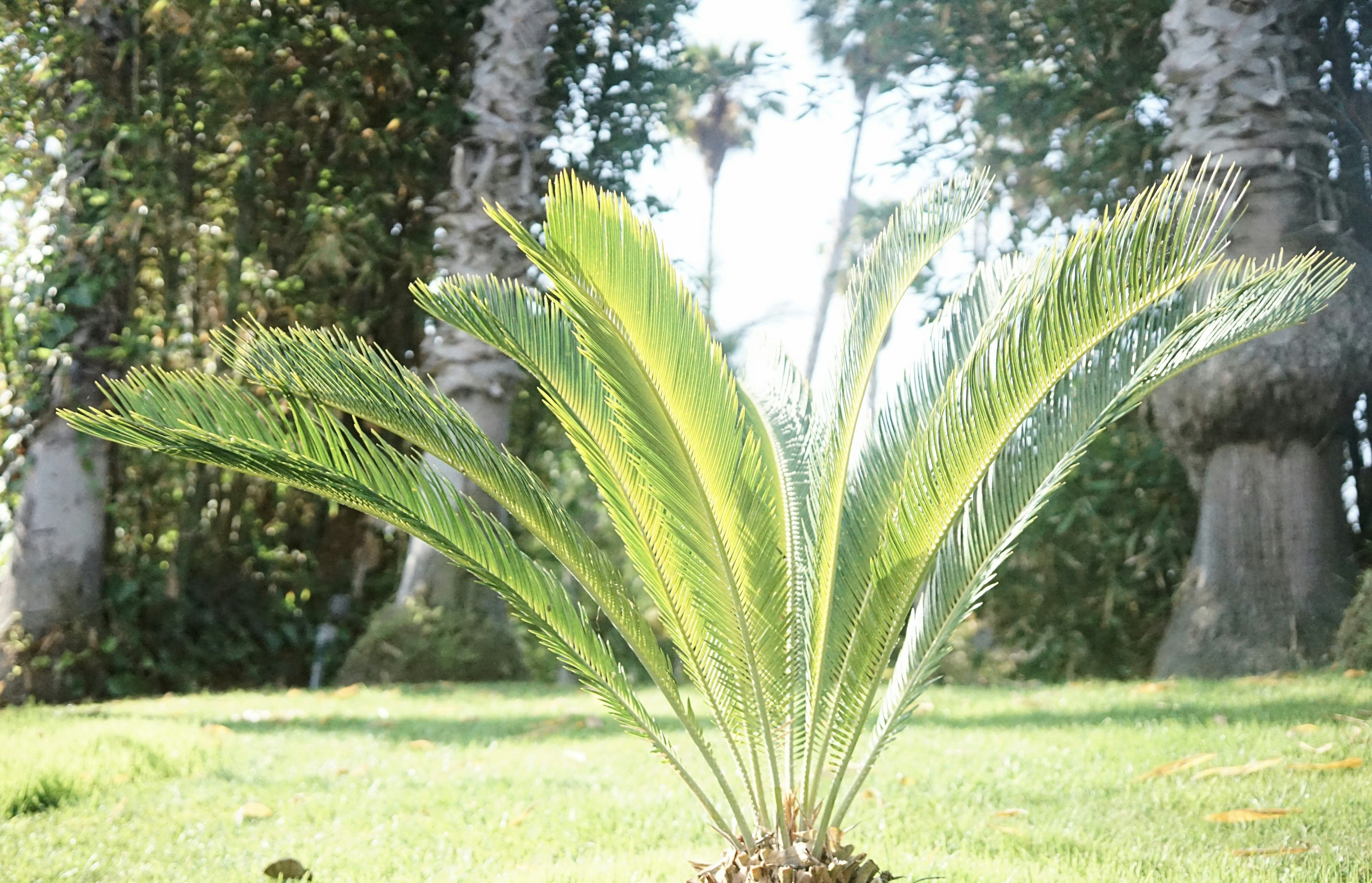 Mejor alternativa a la programación manual en Las Palmas de Gran Canaria 2026