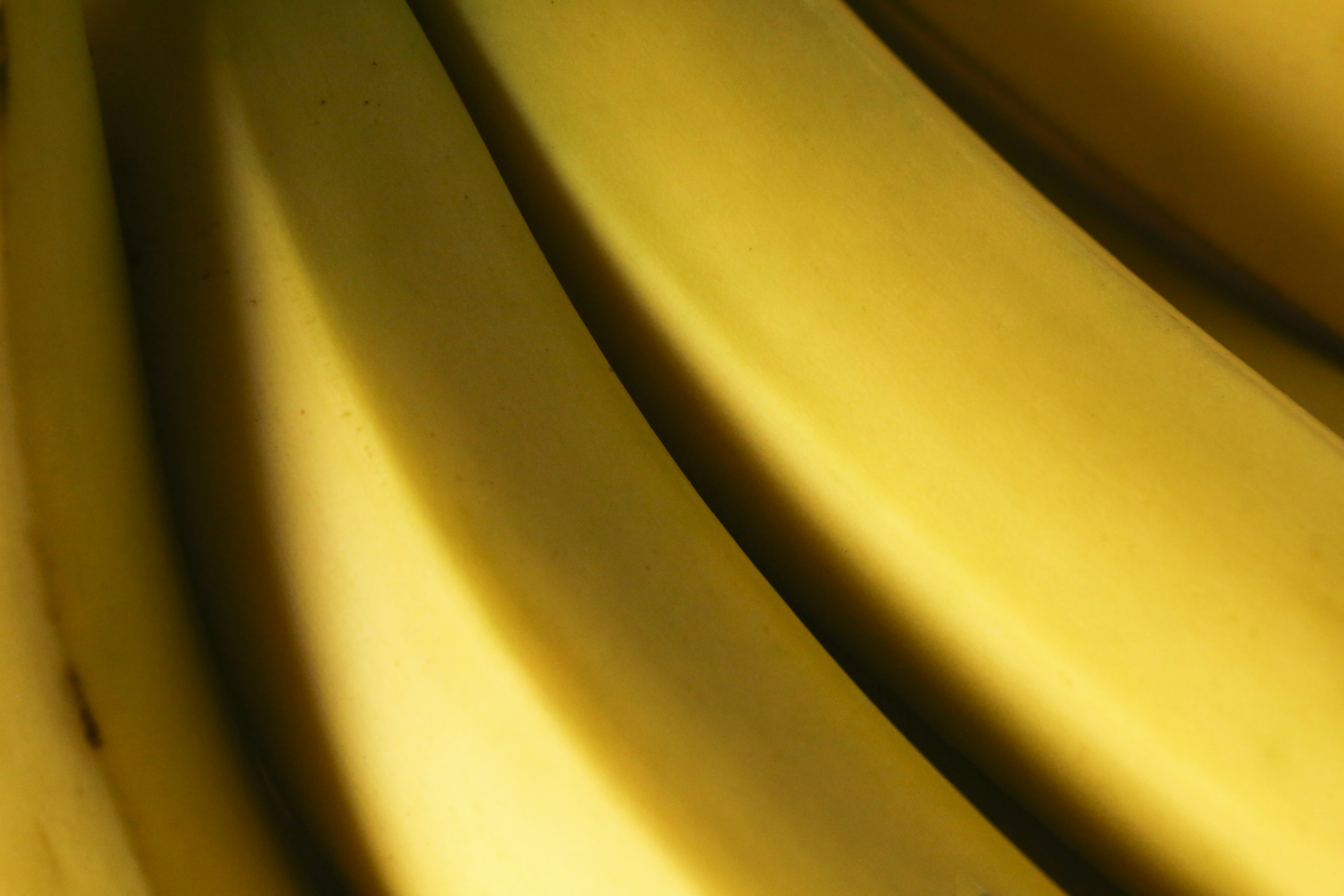 ¡La Nano Banana 2 está lista para su lanzamiento! ¿Qué características tendrá y cómo funcionará?