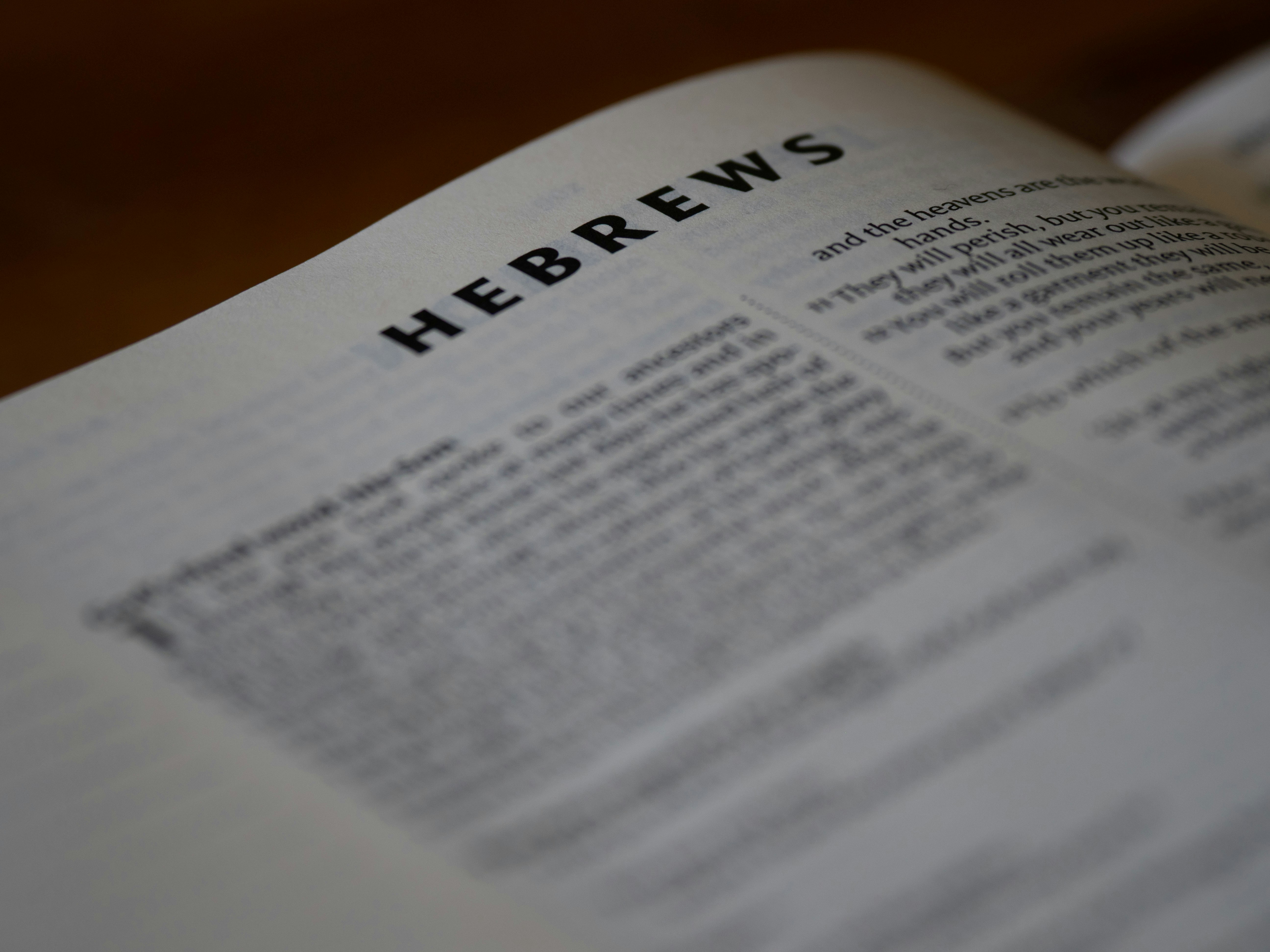 La palabra del año de Merriam-Webster emite un veredicto despectivo sobre el contenido basura de IA