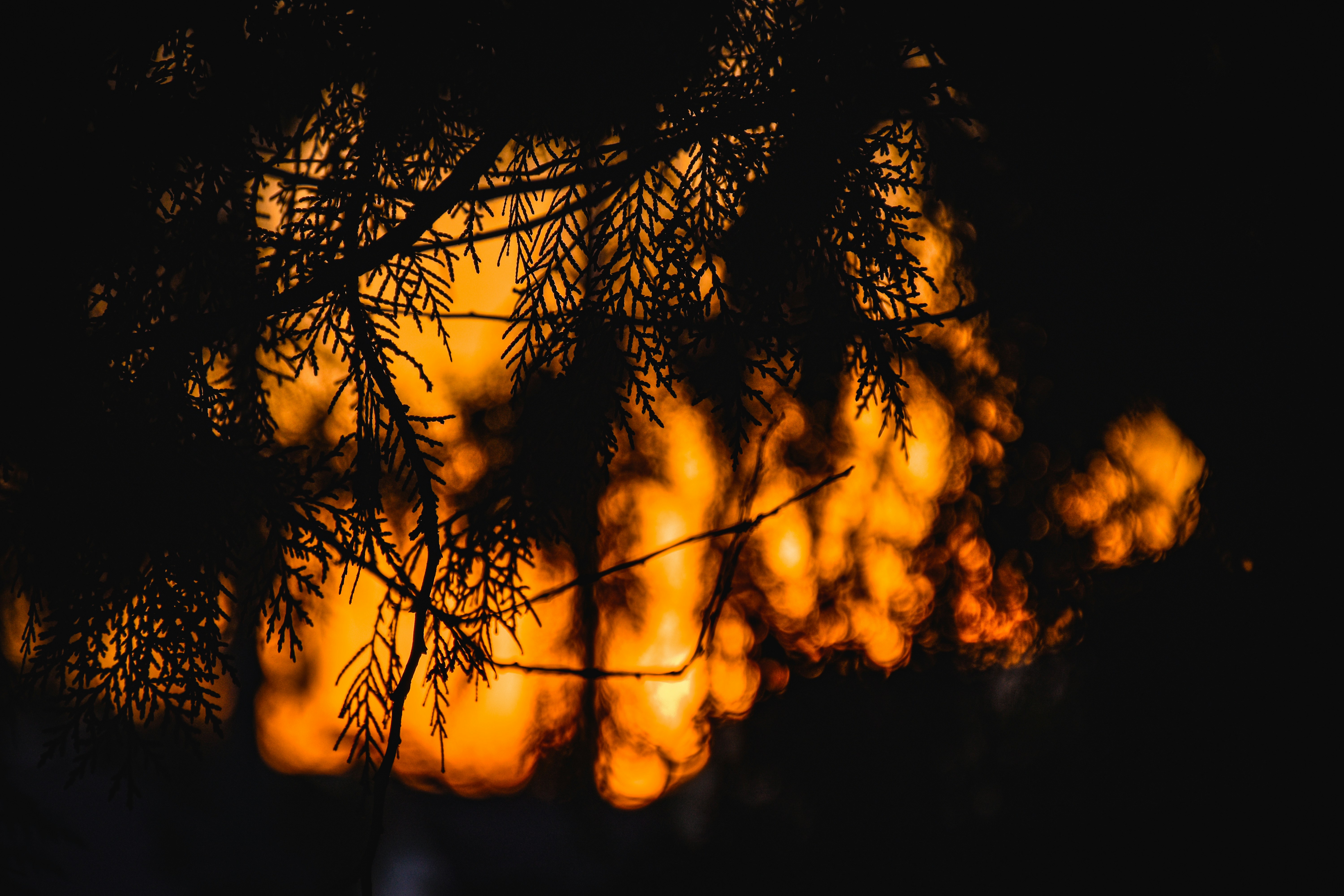 La SBA extiende la distribución de préstamos por desastre para los sobrevivientes del incendio forestal de L.A.