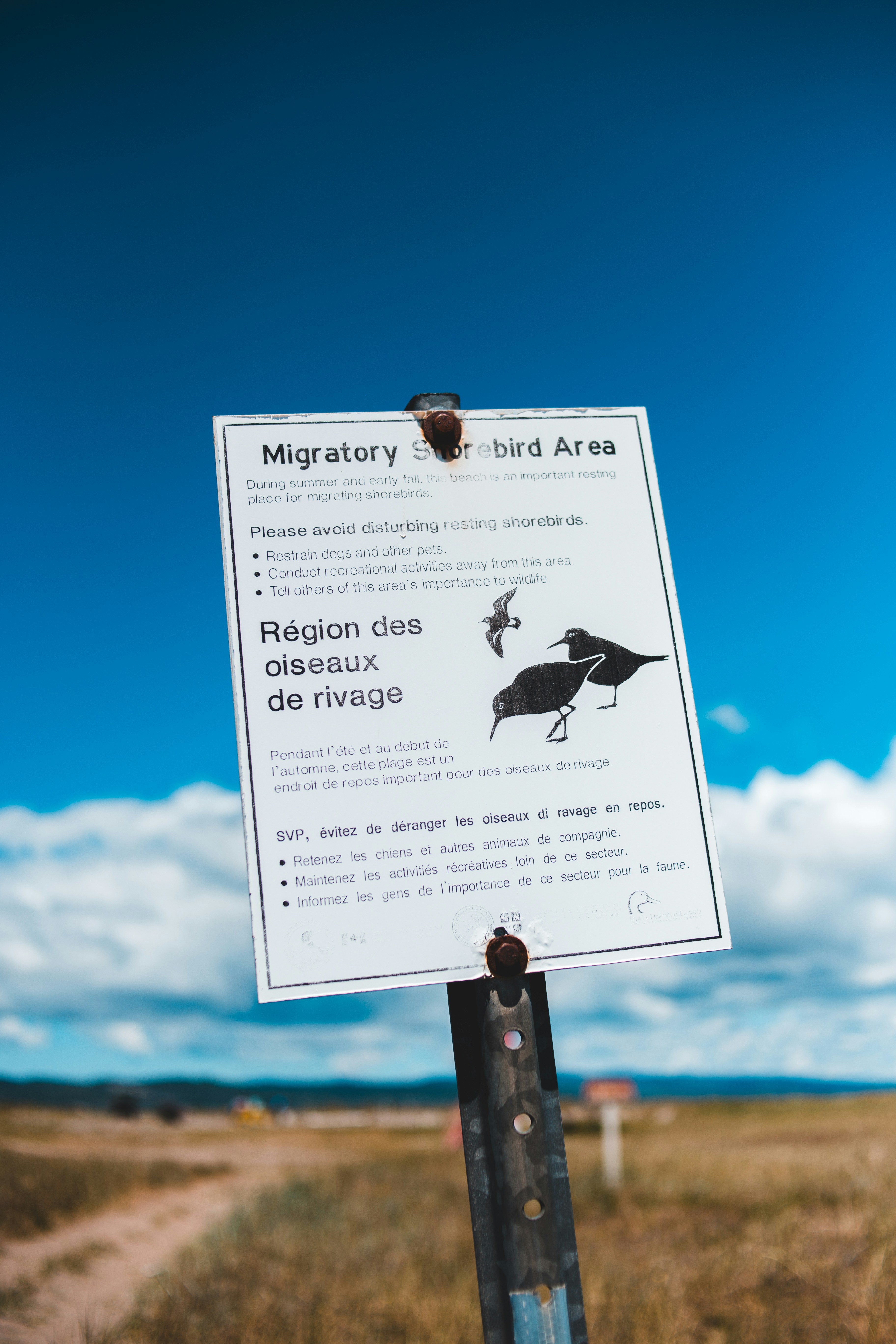 Gurú de migración - Administrar migraciones de Laravel desde una interfaz de usuario web