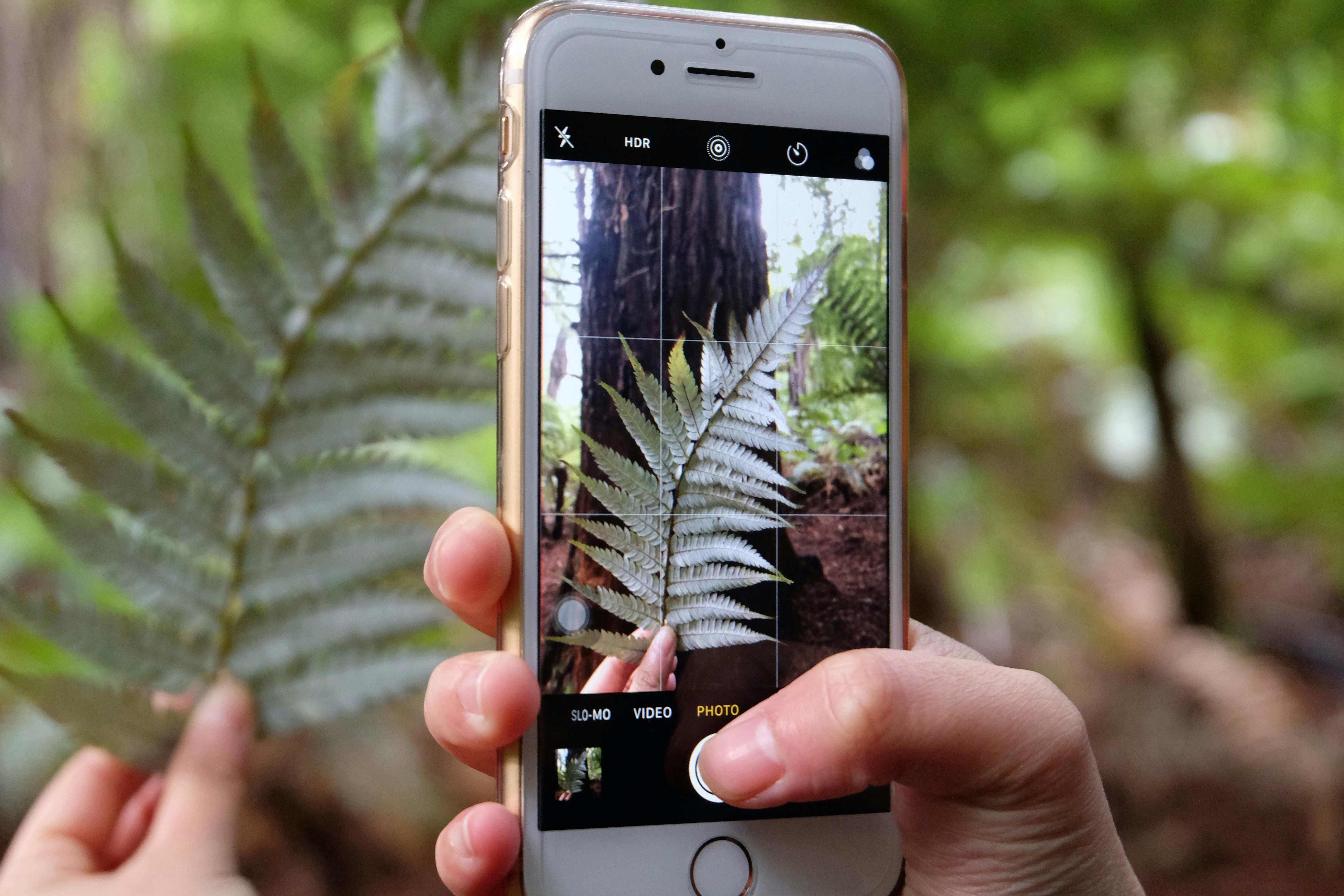 Mejores 10 empresas para aplicaciones móviles en San Cristóbal de La Laguna