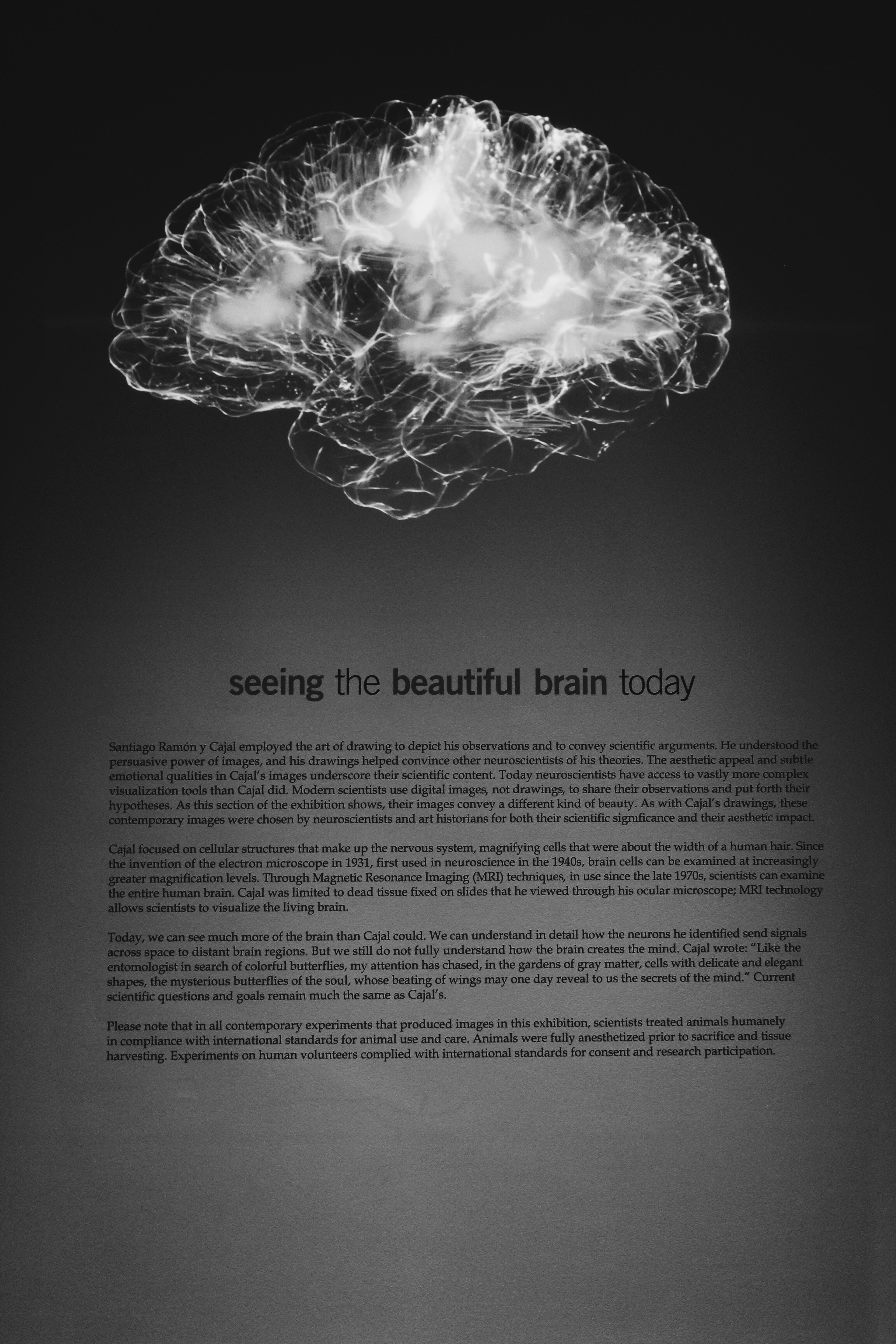 Las 10 mejores empresas de comprensión documental cognitiva en Córdoba