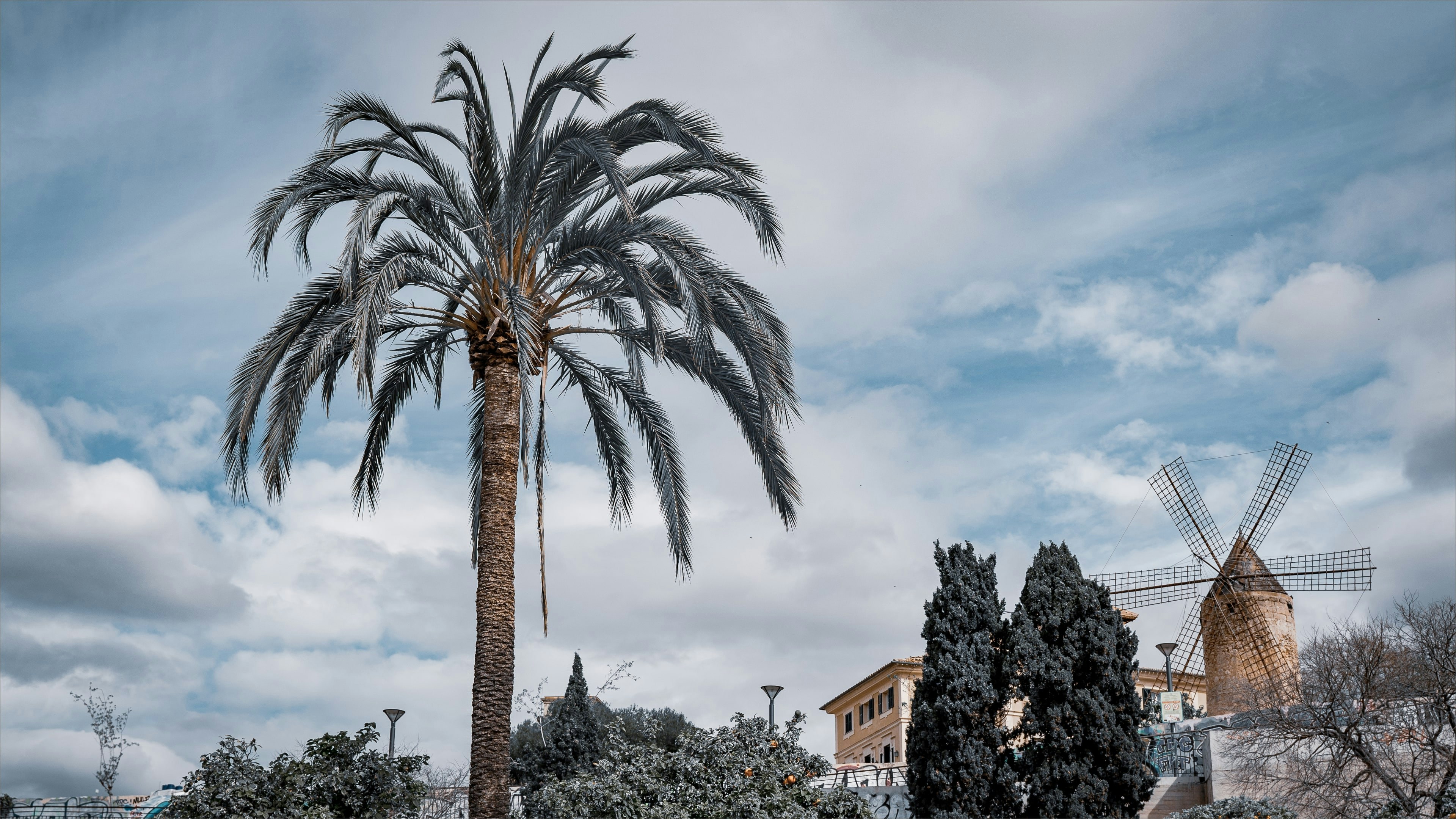 Las 10 mejores empresas de software de gestión webapp en Palma