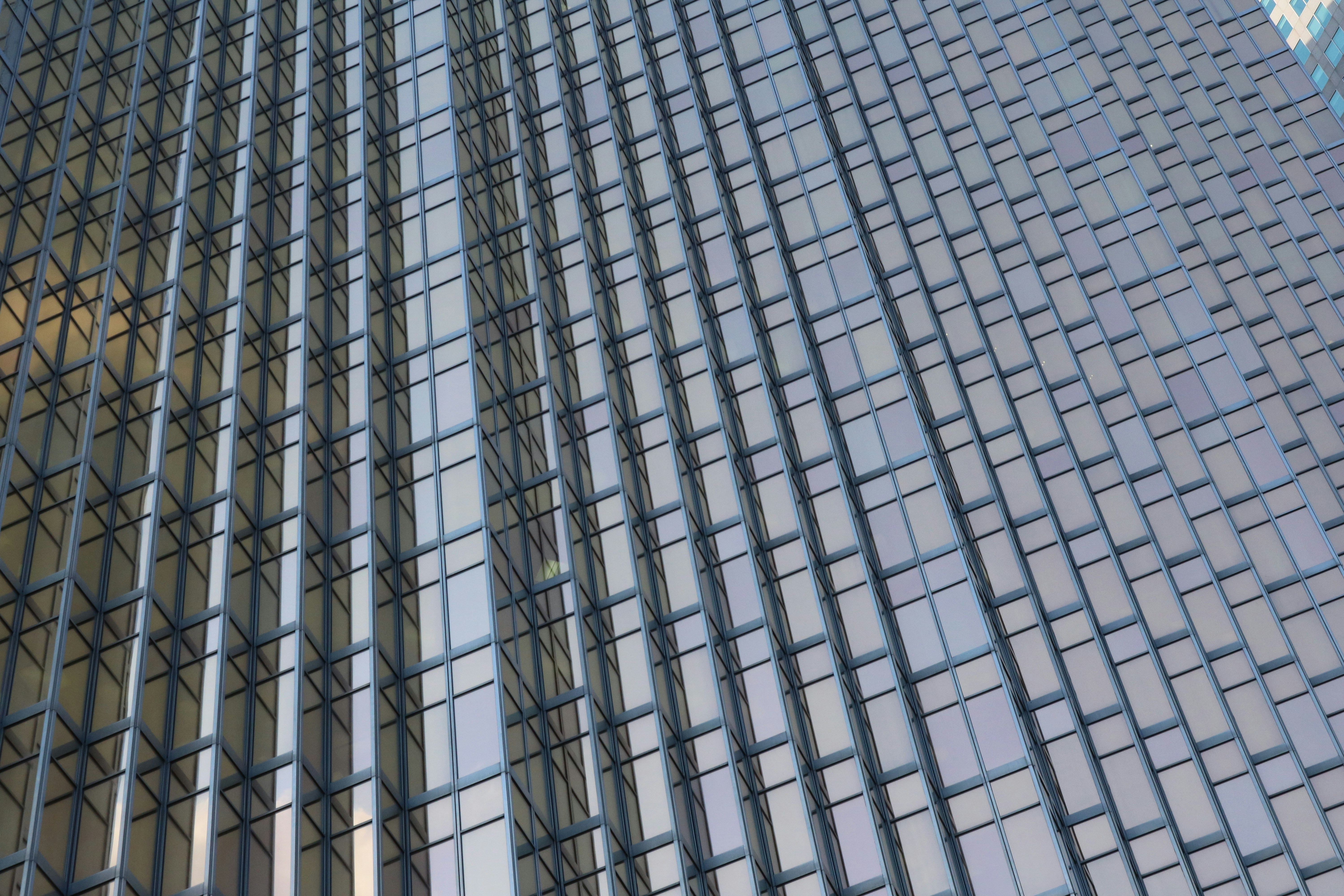 Las 10 mejores empresas para el sistema de gestión de tiendas de óptica en Santa Cruz de Tenerife