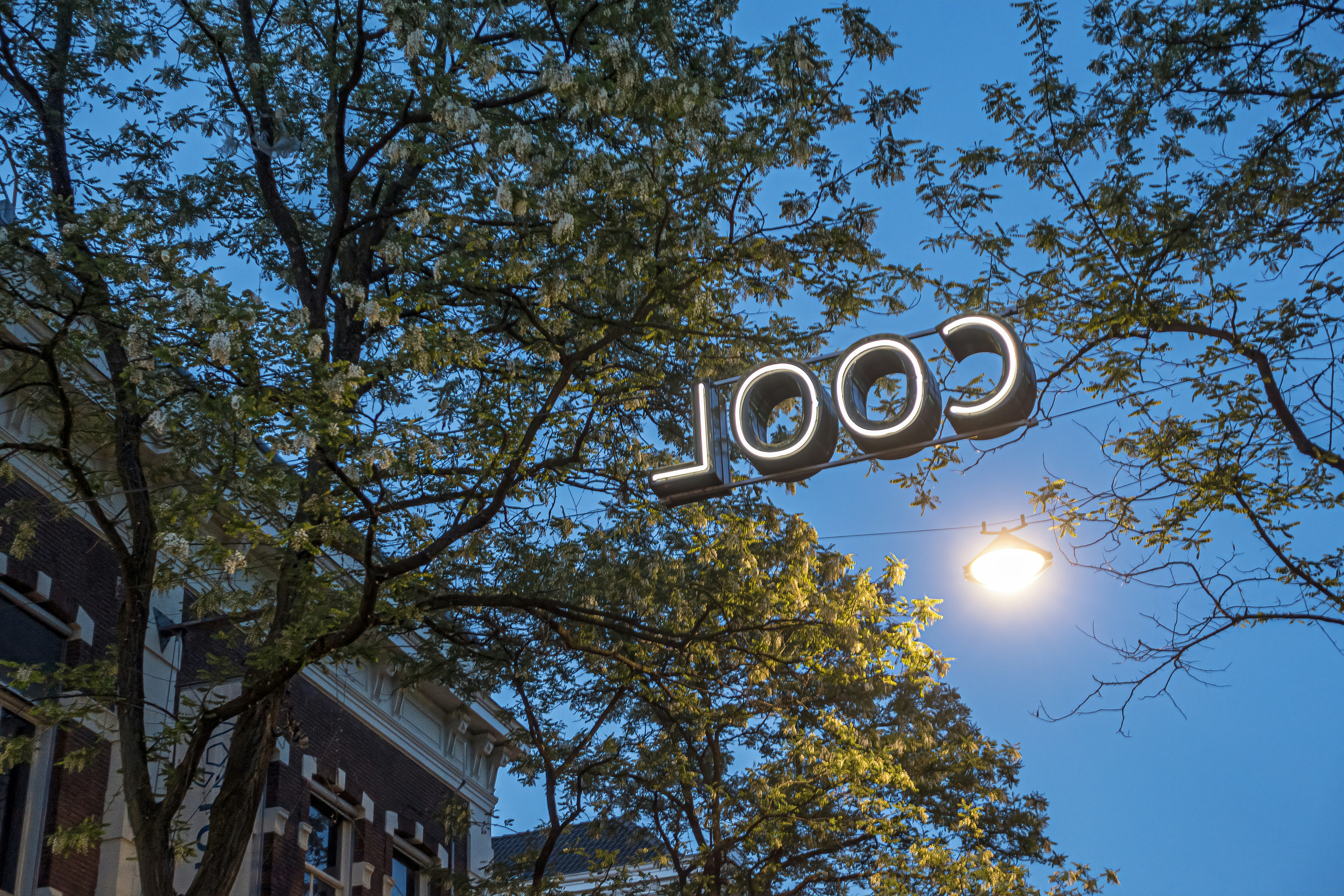 Las 100 mejores empresas para cuánto tiempo lleva el desarrollo de software personalizado en Alicante